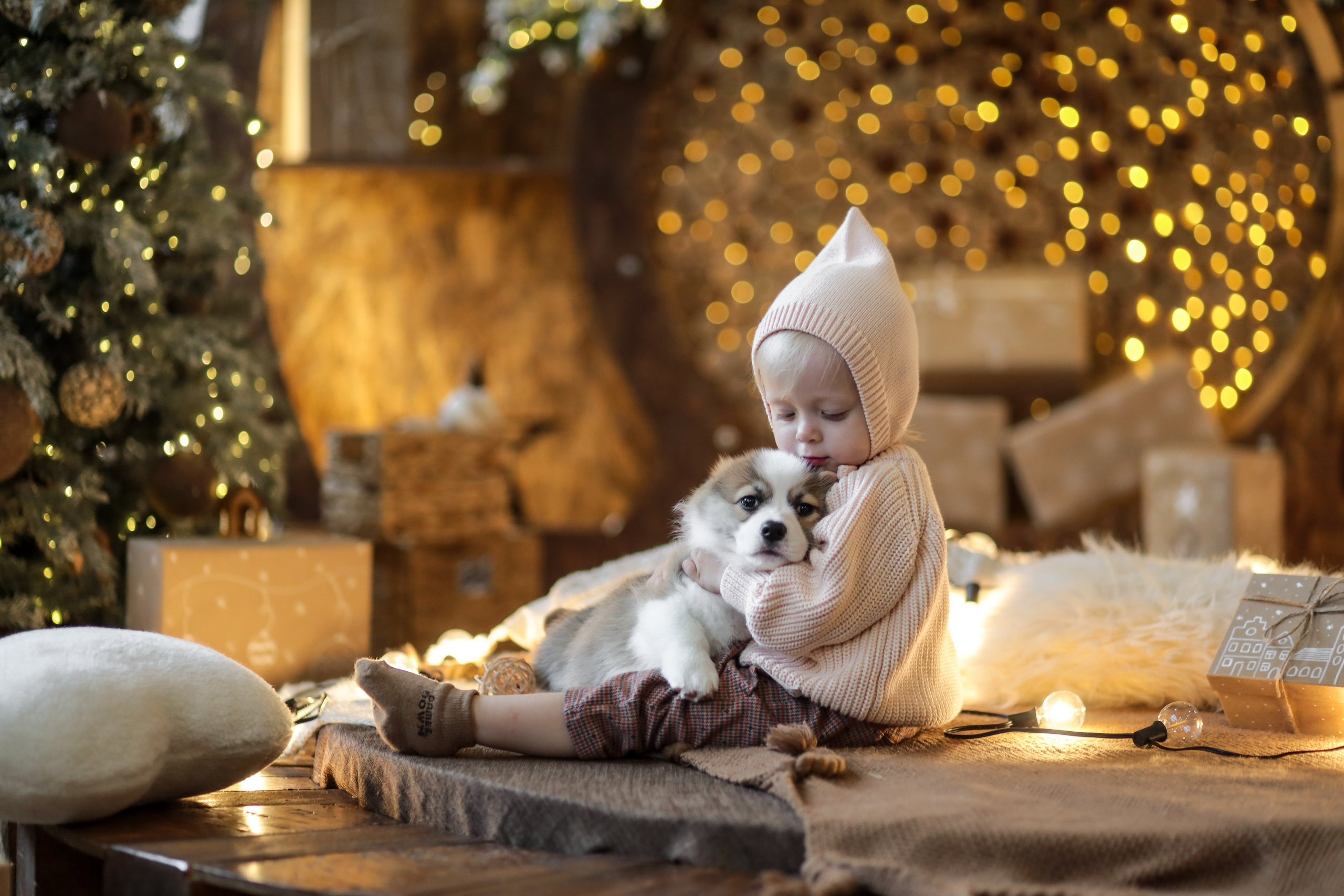 Светлана и Алена. Kharchenkotatianaweddingphoto