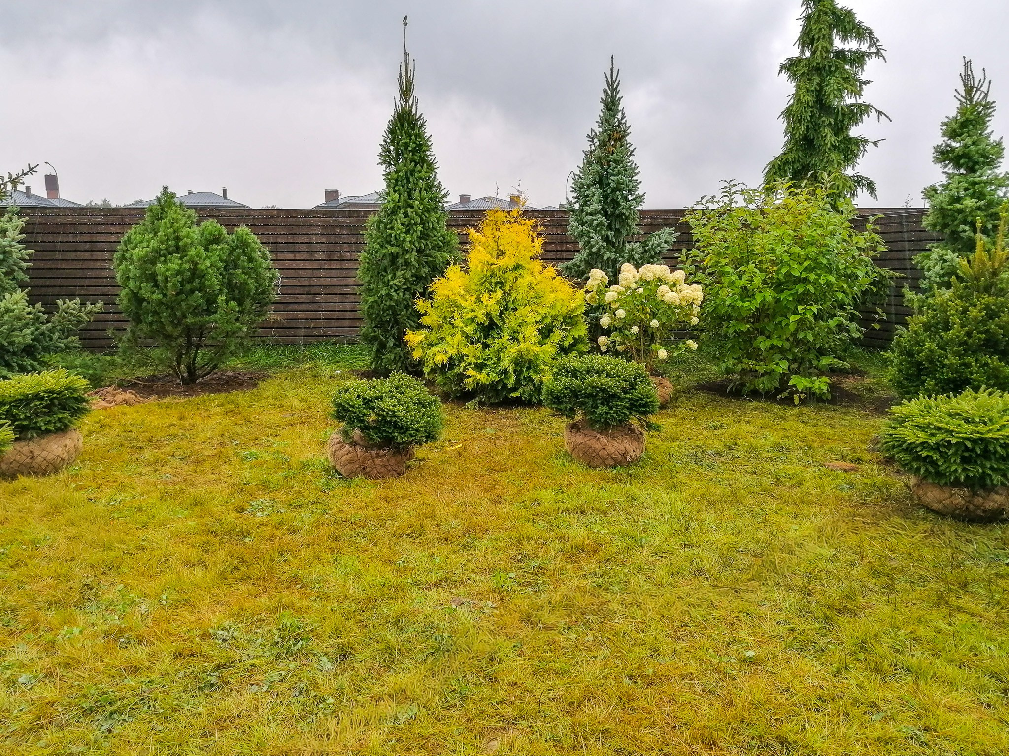 Gramina Campis — ландшафтное бюро в Москве и Подмосковье. Дизайн, озеленение, благоустройство