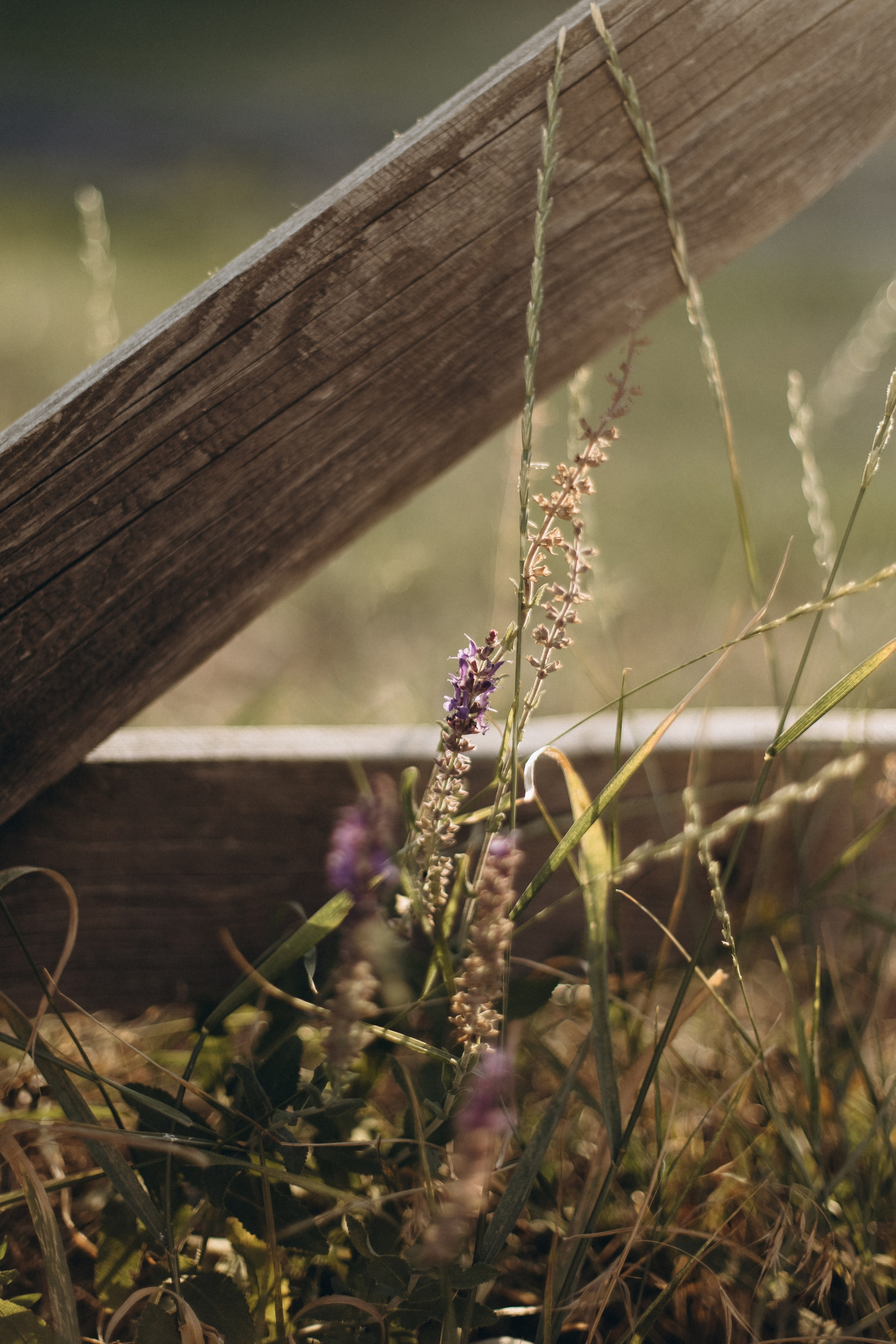 Настя. Главная