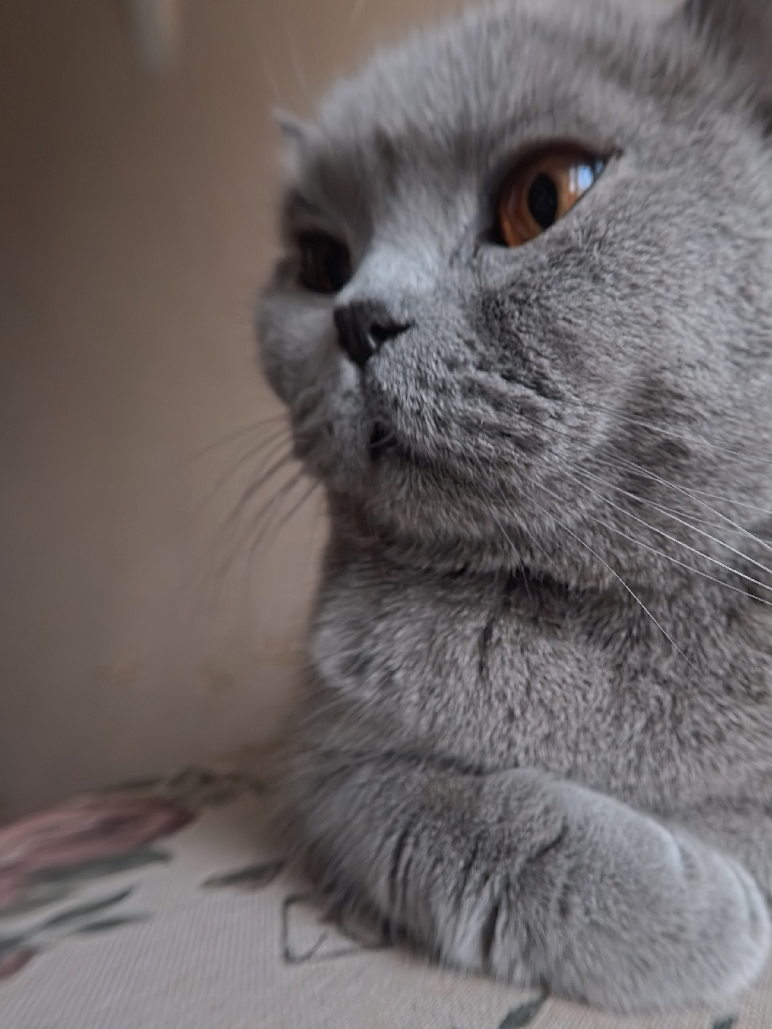 Улица, люди, жизнь…