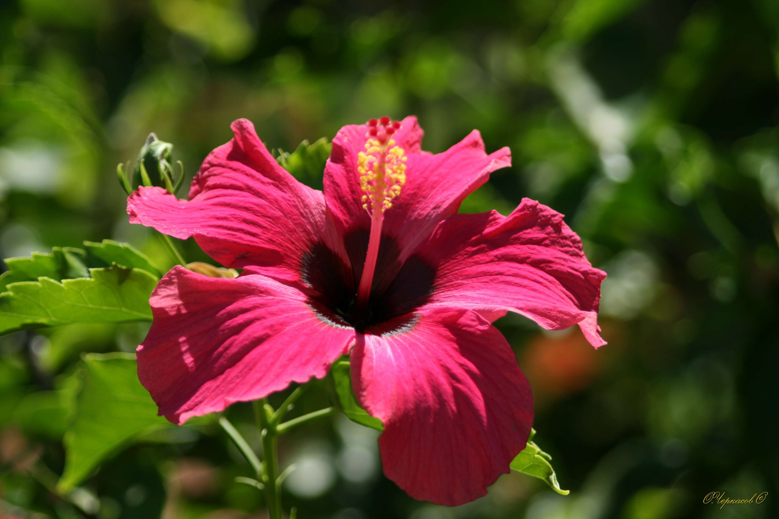 Вьетнам 2008 г. Улица, люди, жизнь…