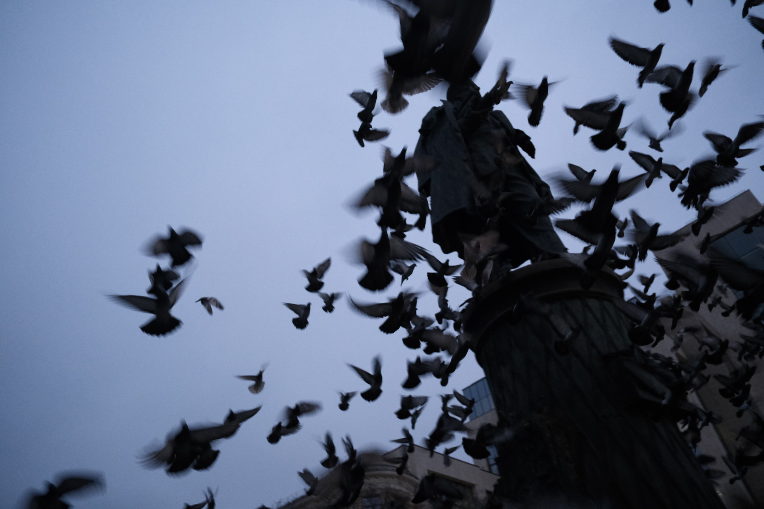 Вечерний город. Улица, люди, жизнь…