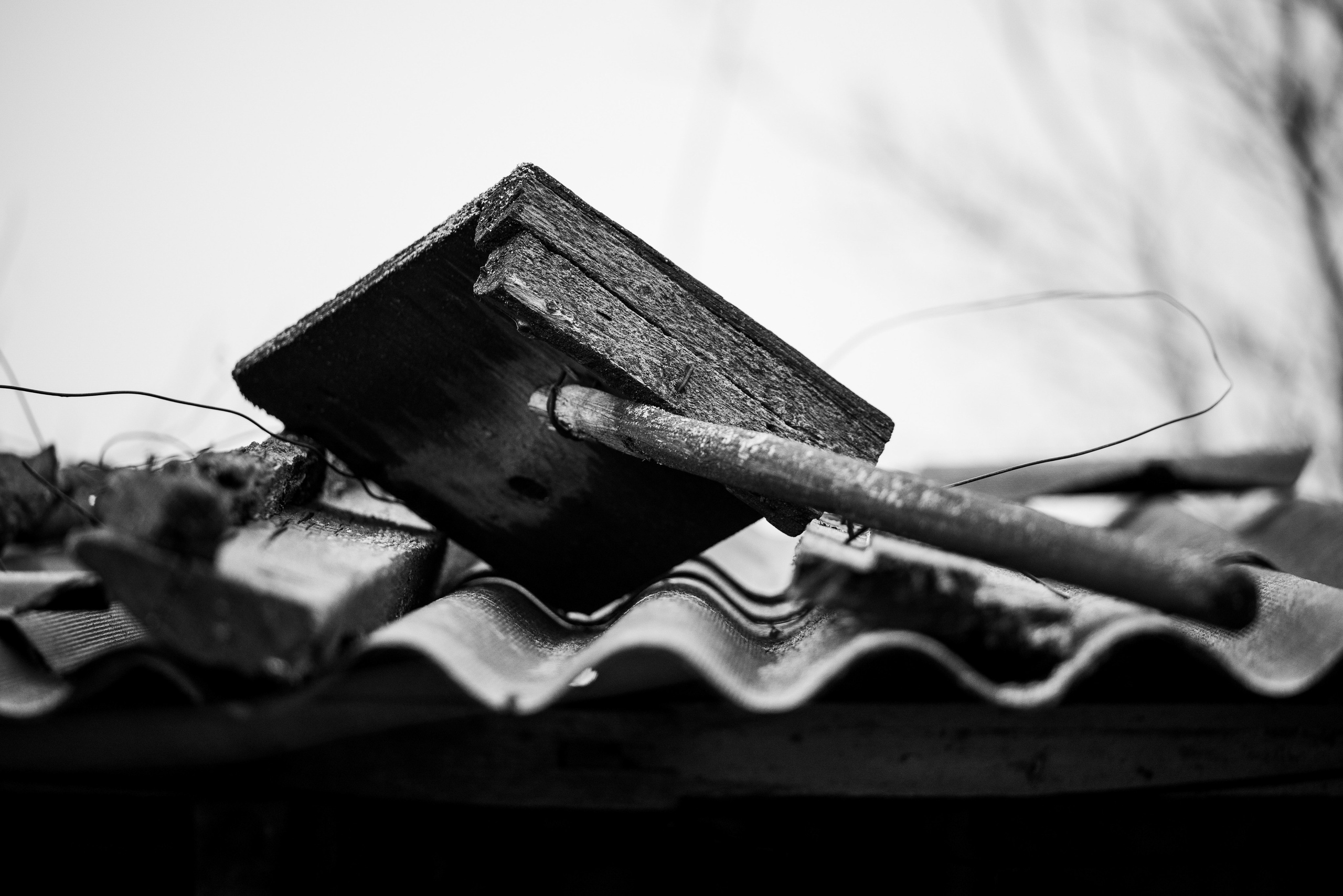 Деревня / Юг. Фотограф Антон Денисенко: Портрет, Документалистика, Пейзаж. Москва