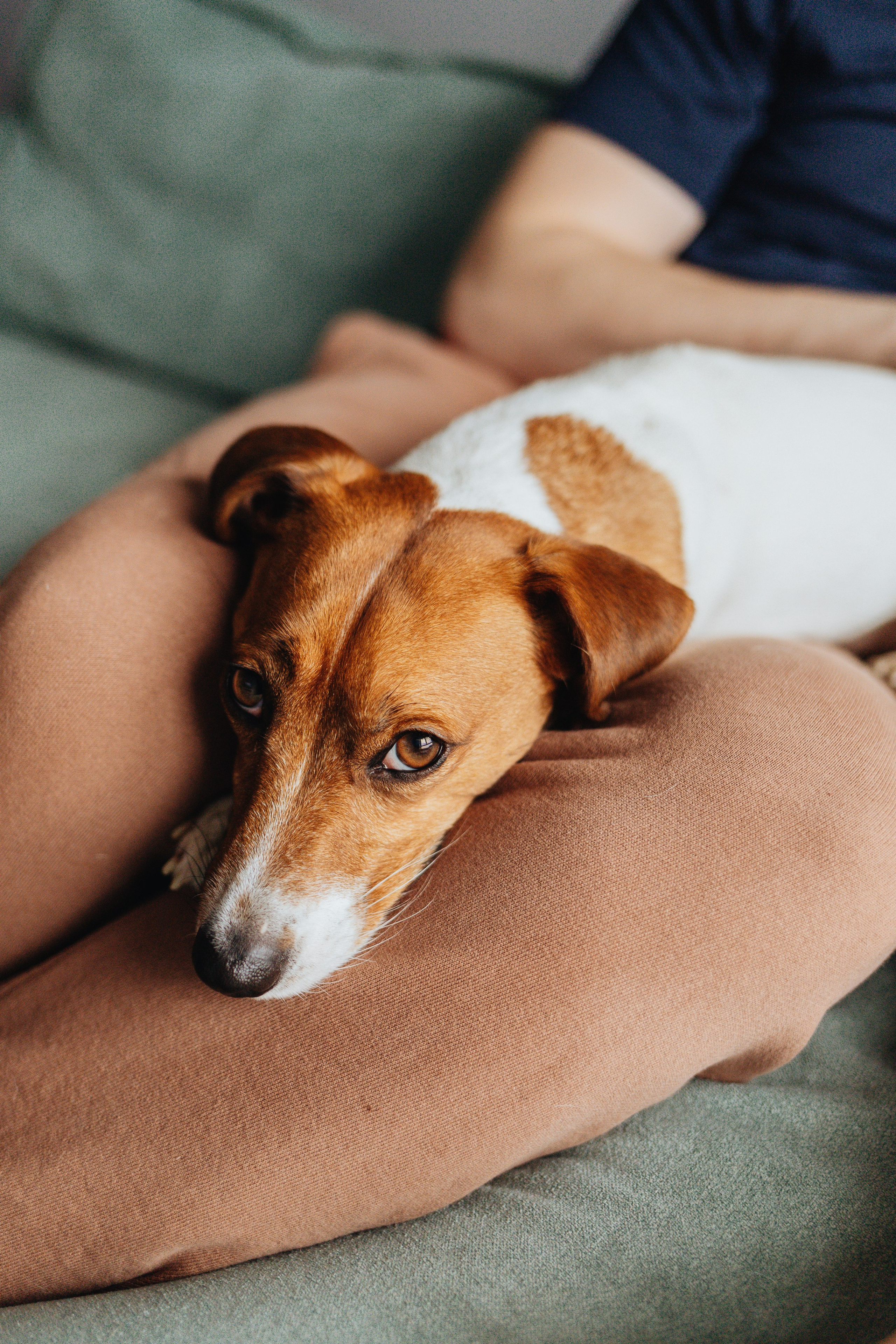 Юра, Яна и Алиса. Семейный фотограф Юлия Клишина