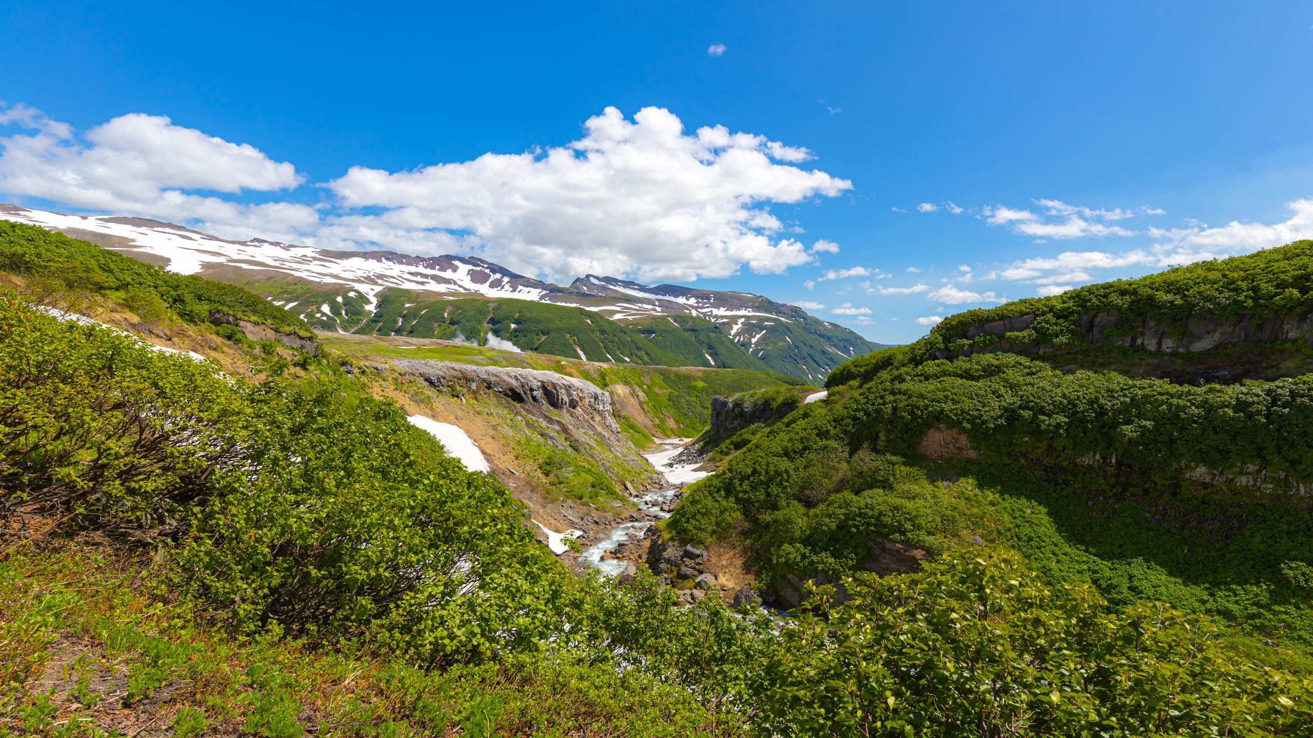 Камчатка. Вулканы. Малая долина гейзеров. Красивая фотография
