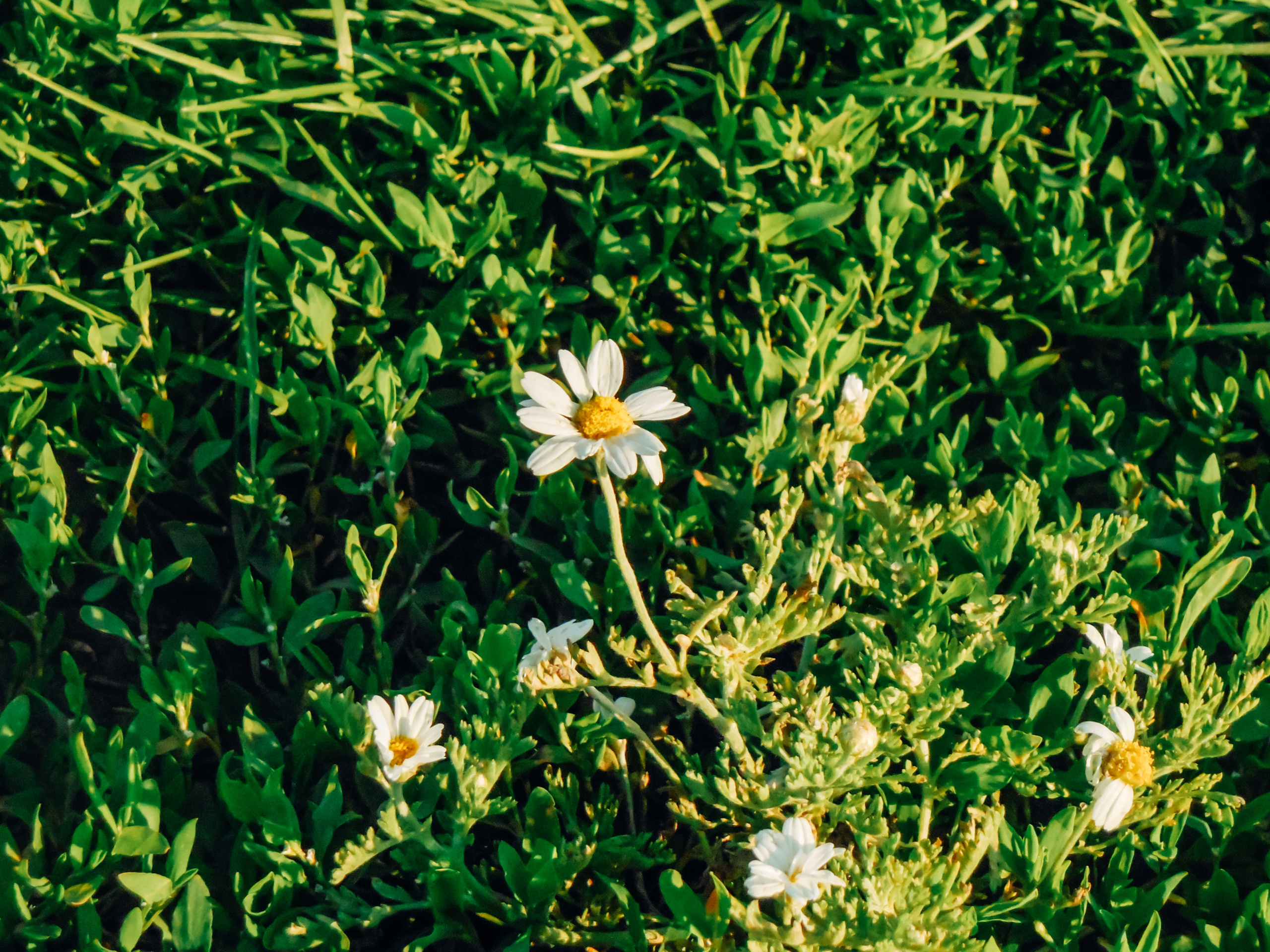 Воронеж. Репортажный и портретный фотограф в Липецкой, Воронежской, Московской области Тёма Белоусов