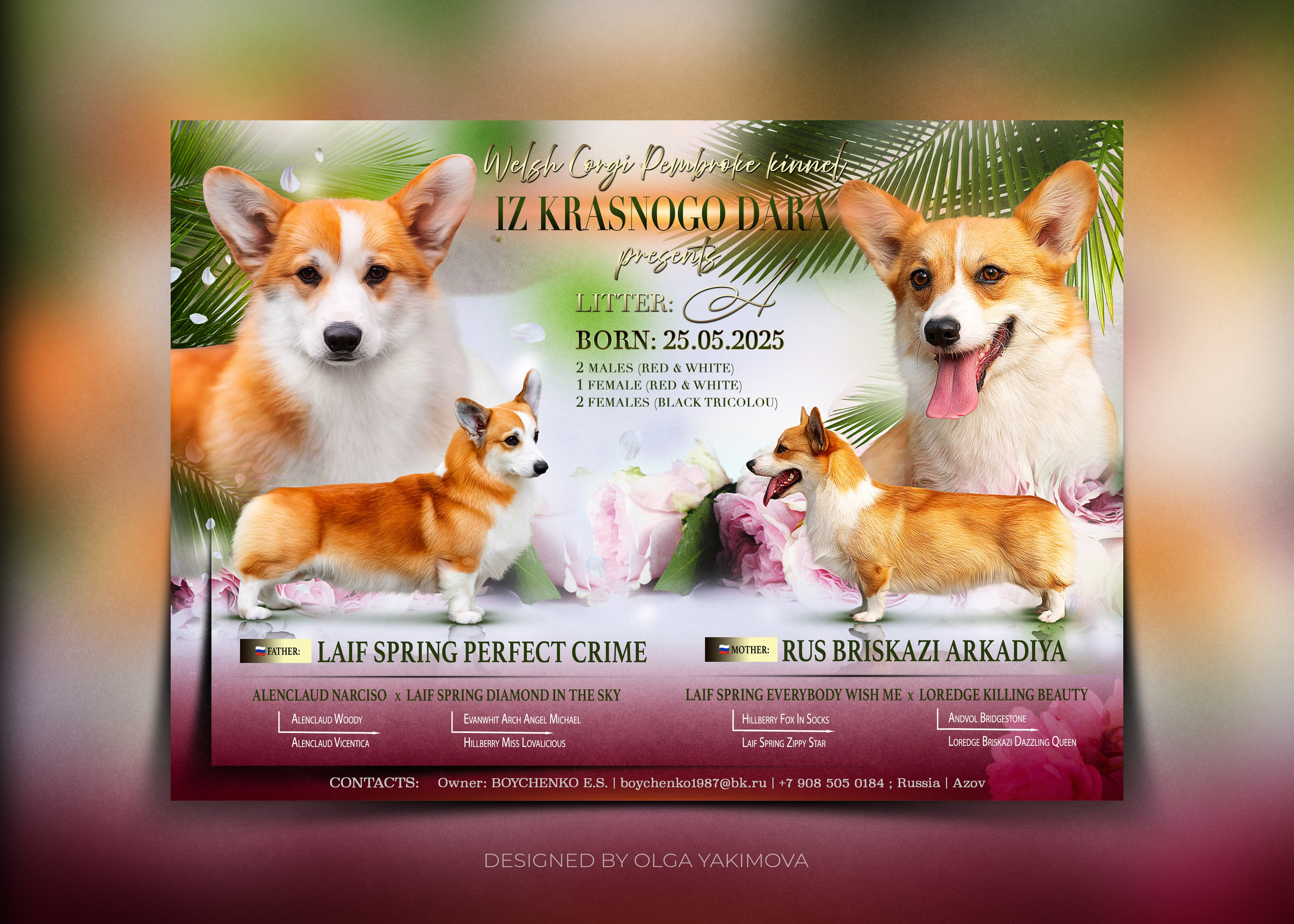 Animal presentation. Фотограф