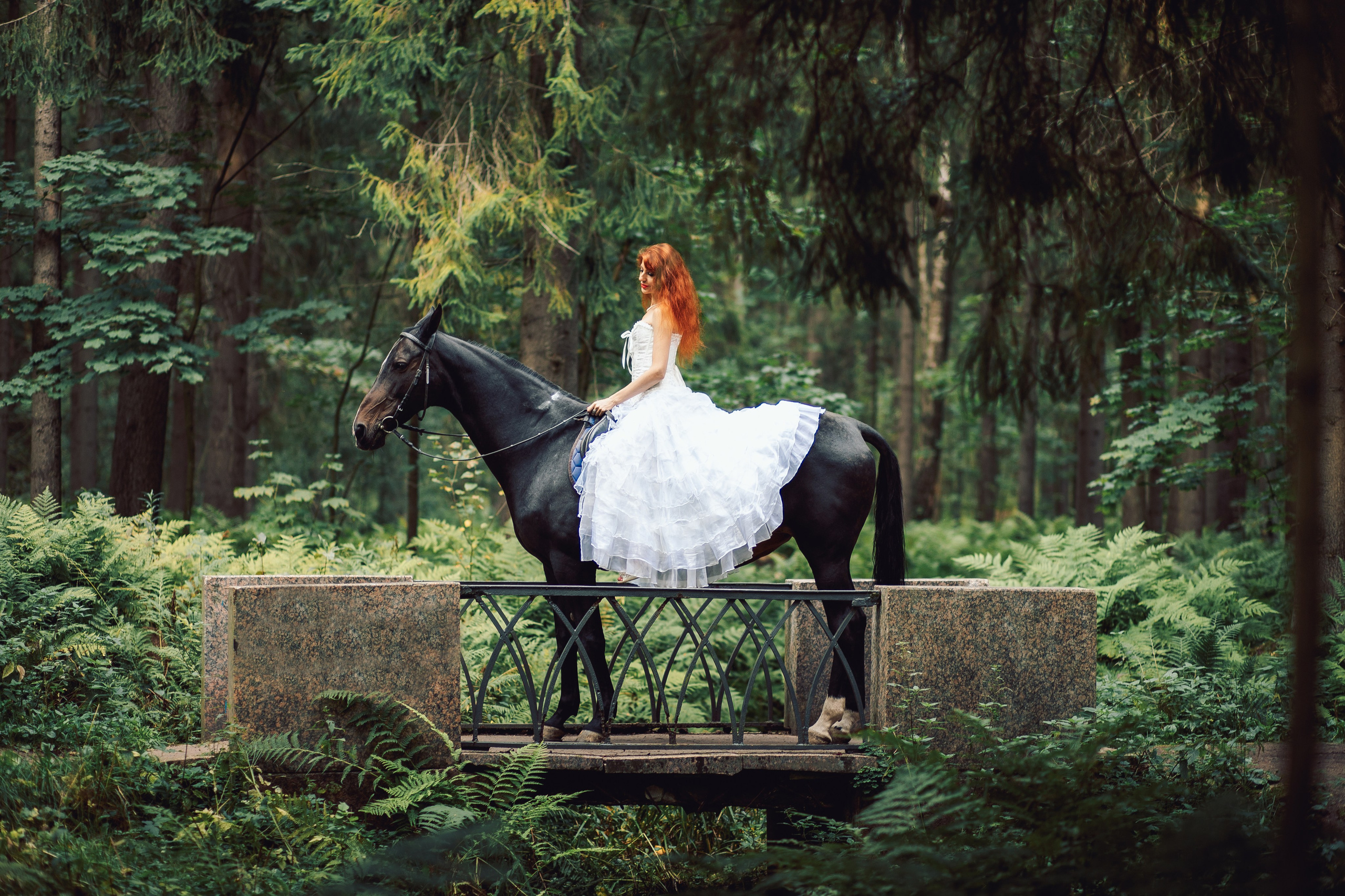 Фотосессия с лошадьми в СПБ. Фотограф в Санкт-Петербурге, Анна Скворцова