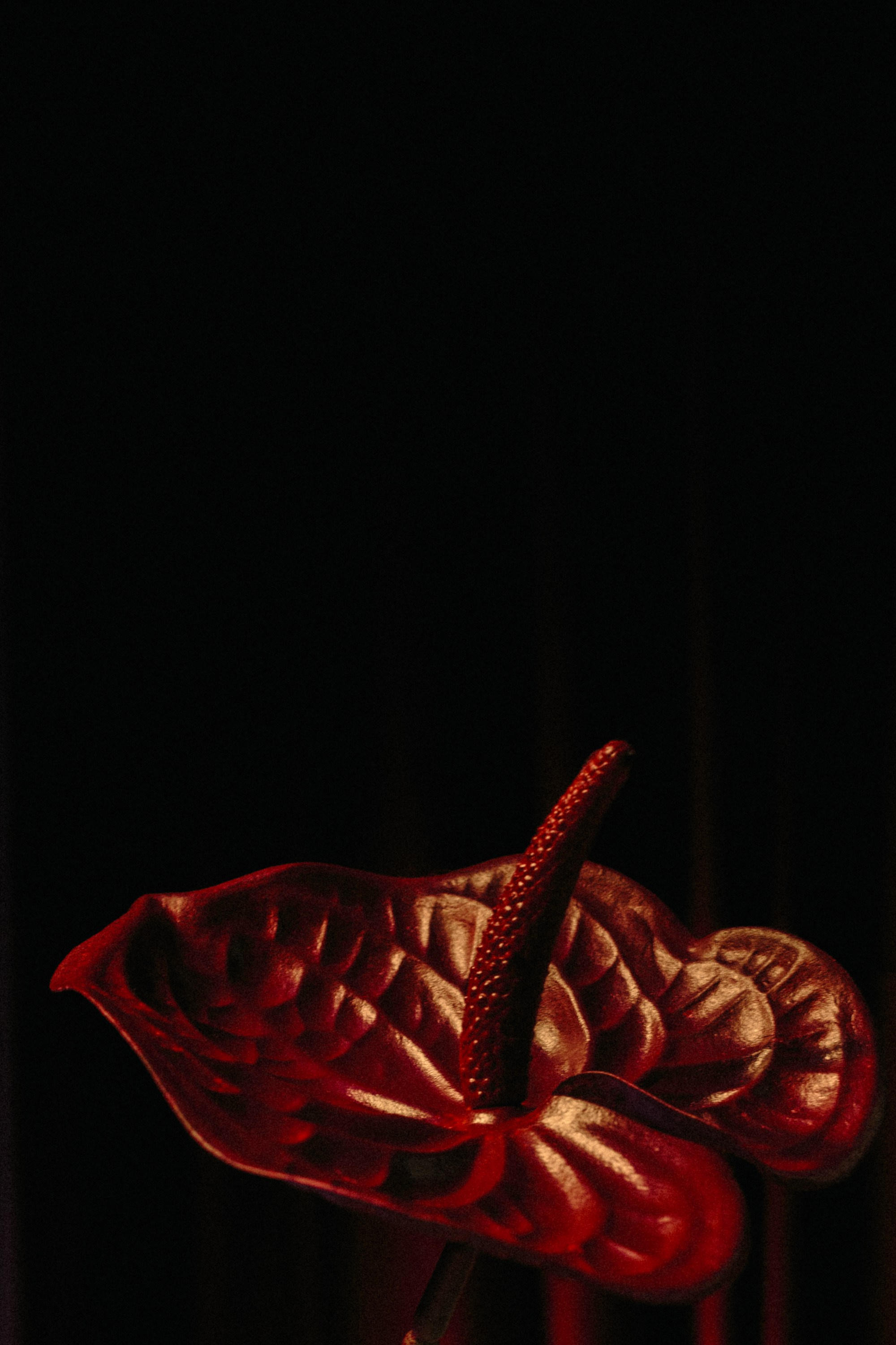 33. Репортажный и портретный фотограф во Владимире Сергей Кравцов