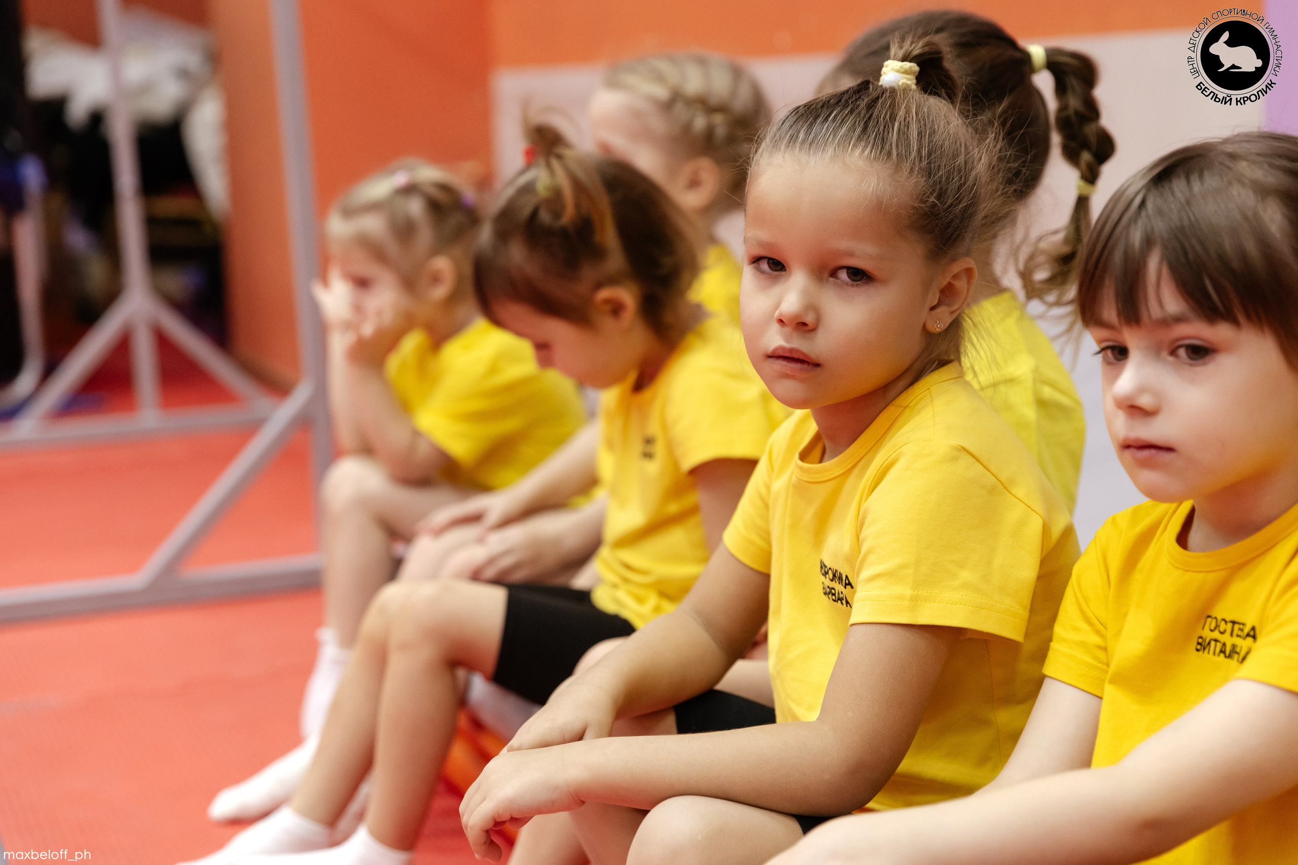 Белый кролик. Соревнования. Семейный фотограф — Макс Белогрудов