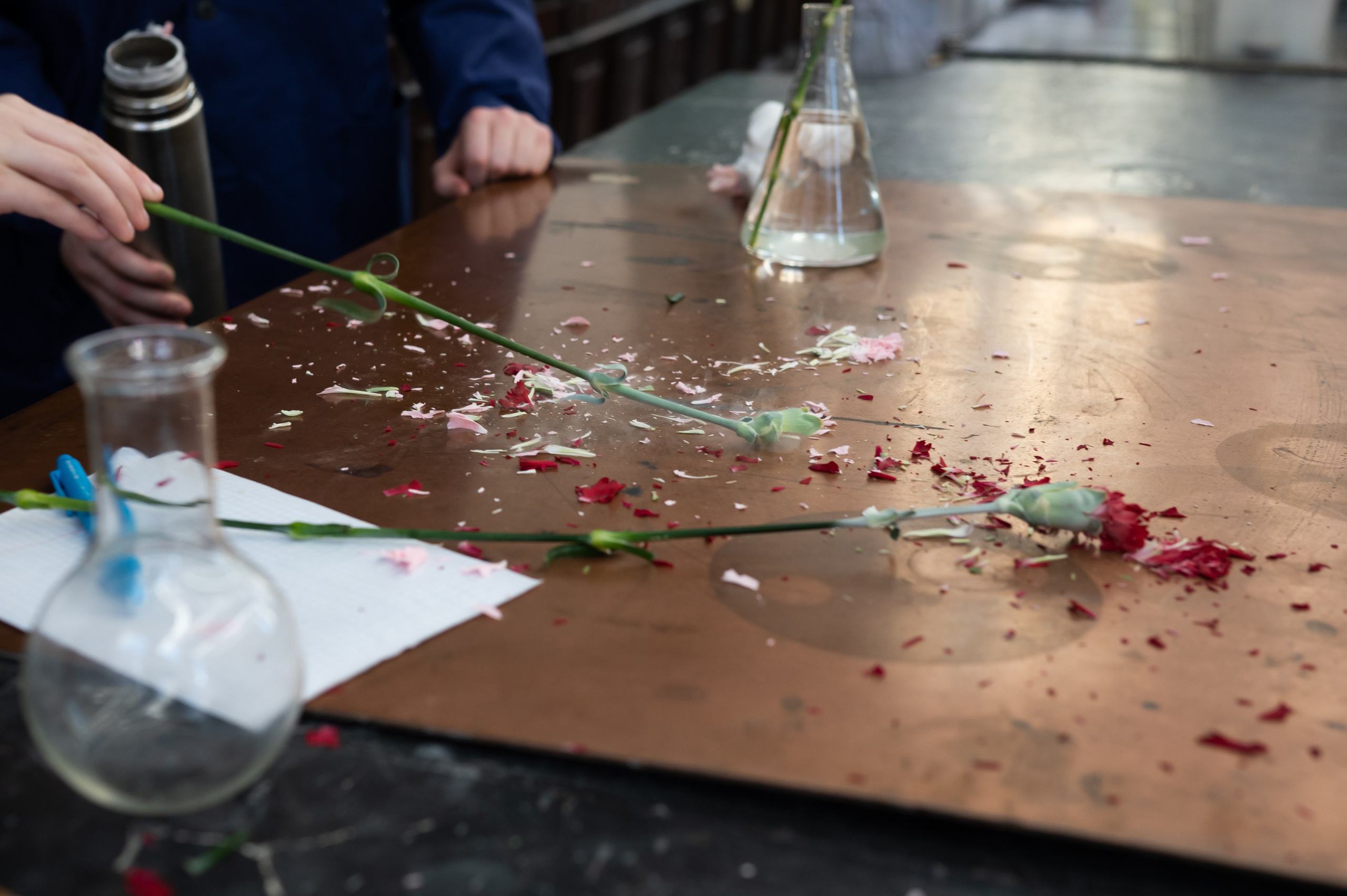 День открытых дверей. Фотограф в Санкт-Петербурге Anna Balashkova