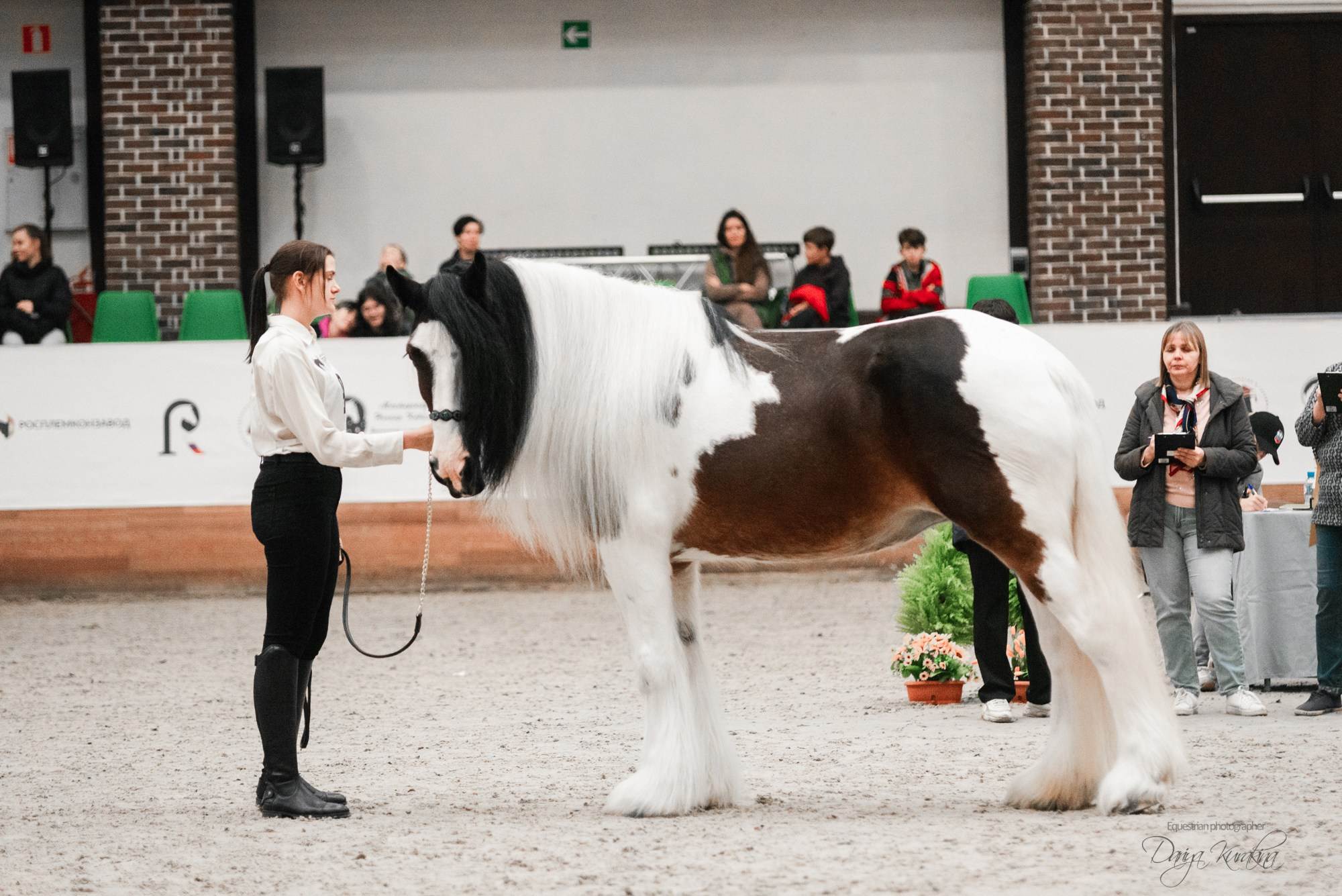 8-я международная выставка Конная Россия. Конный фотограф Куракина Дарья • Фотосессии с лошадьми
