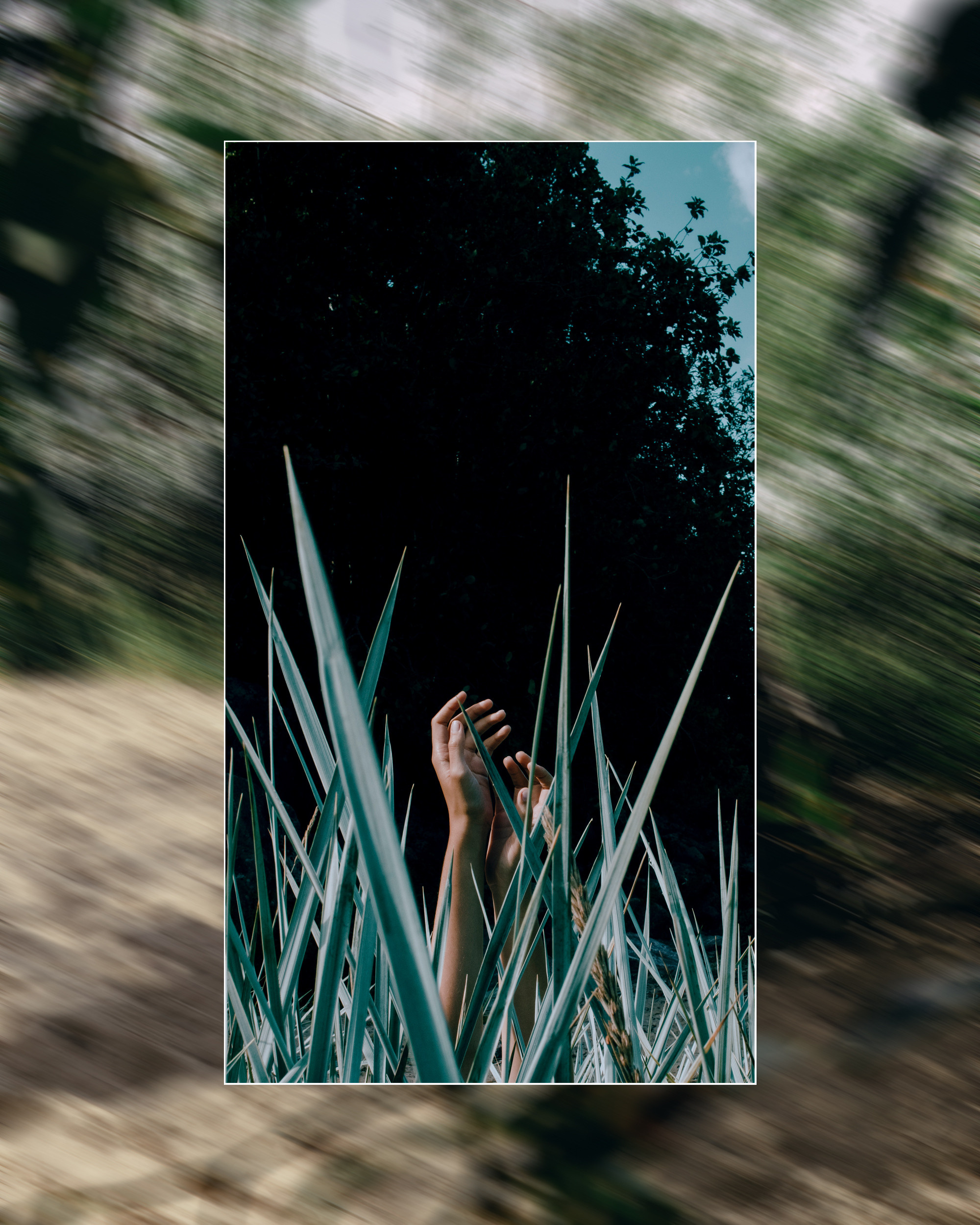 Даша. PASHAHARCE PHOTOGRAPHER & VIDEOGRAPHER