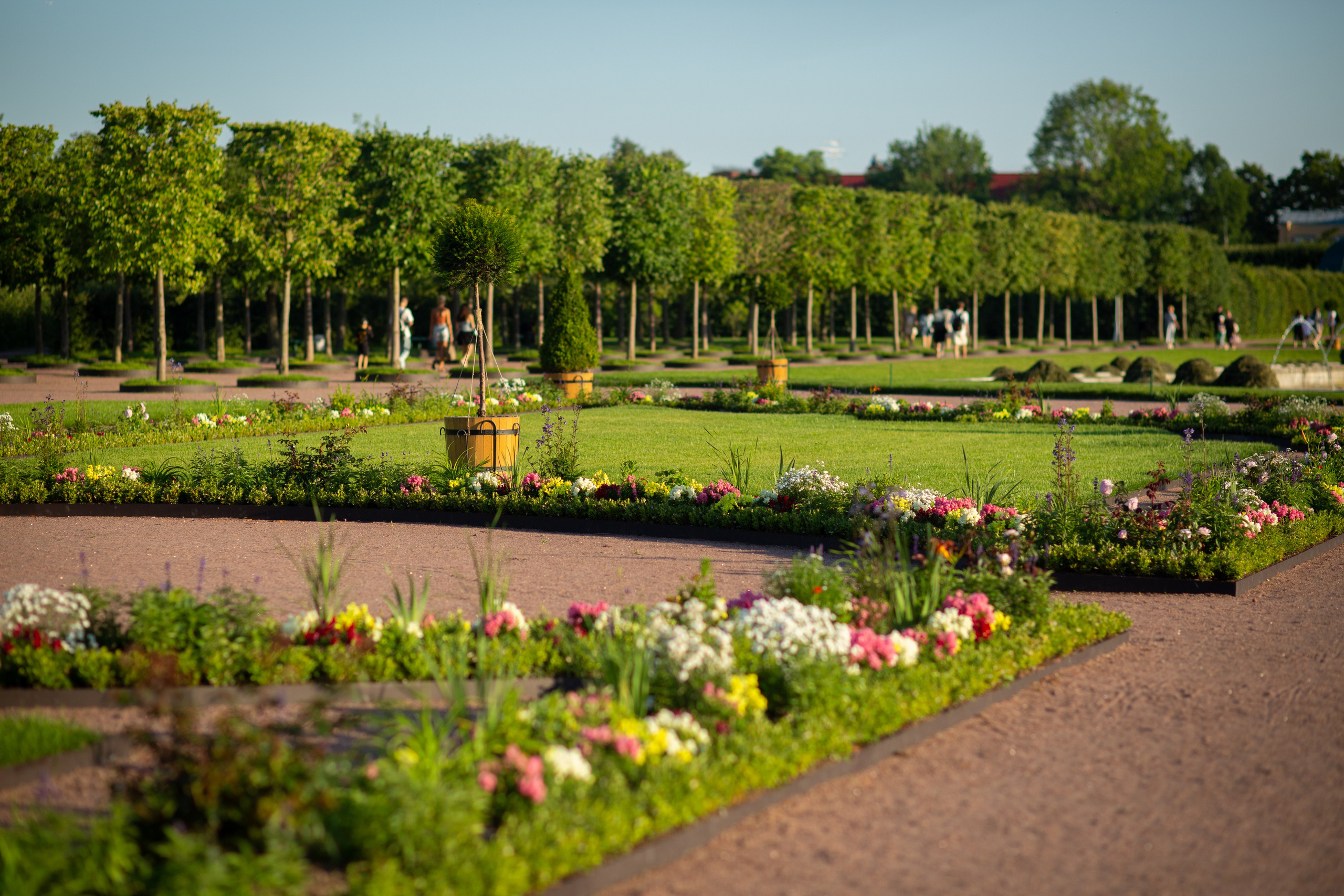 Петергоф. Фотограф в г. Сургуте Марина Киприна