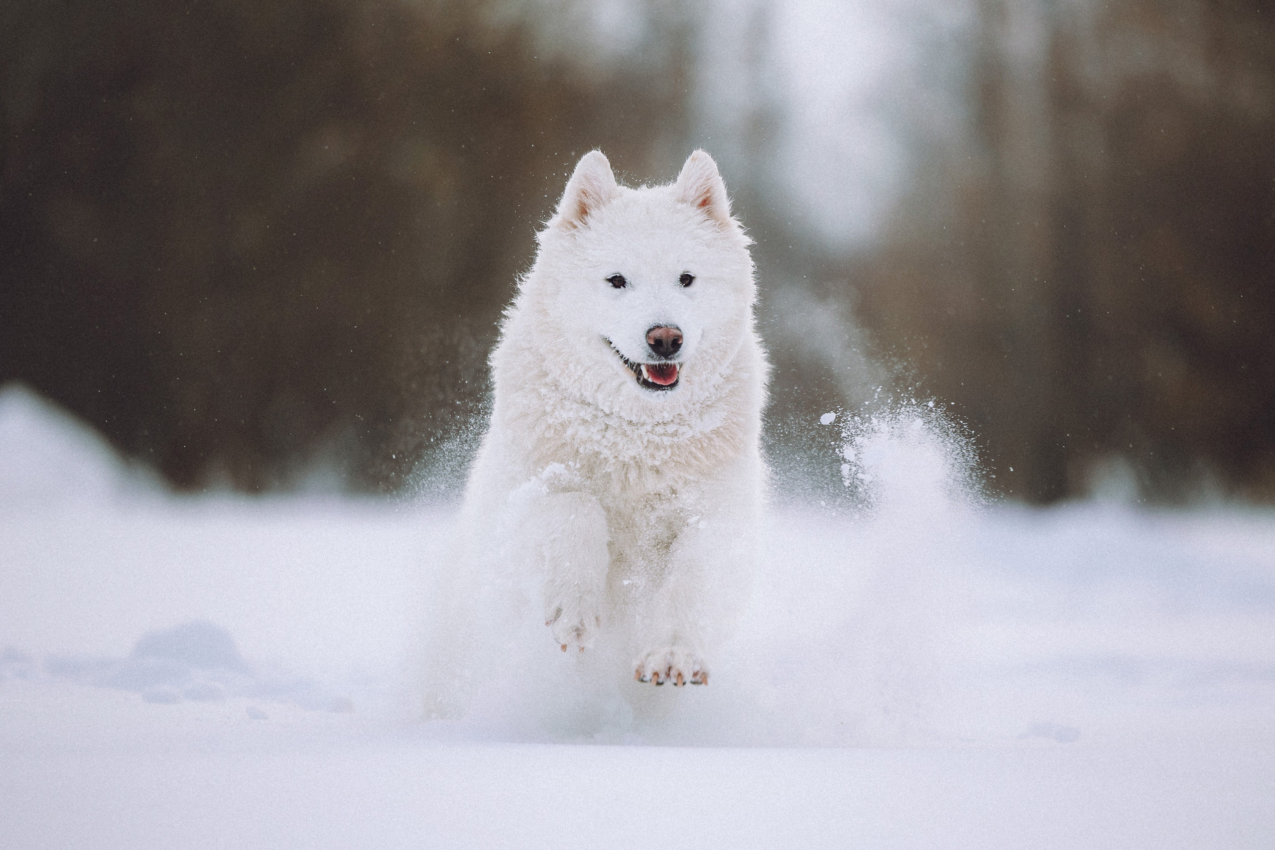 Мария и Мася
