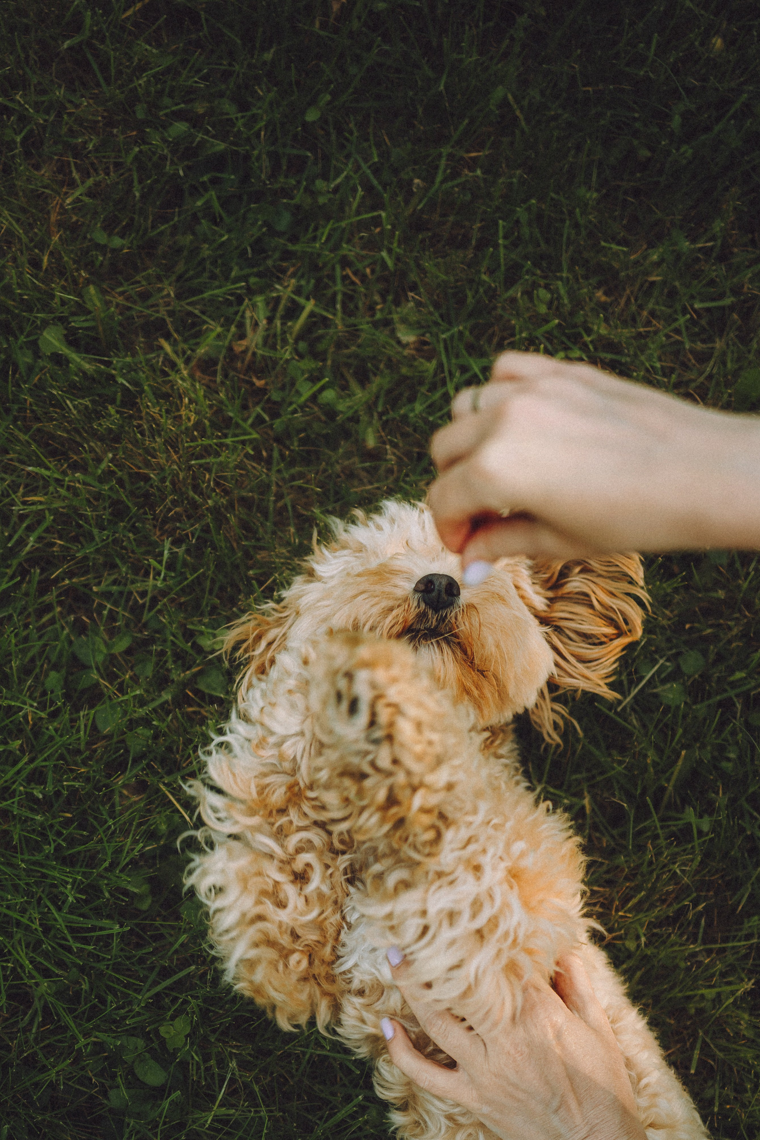 Фред и его семья