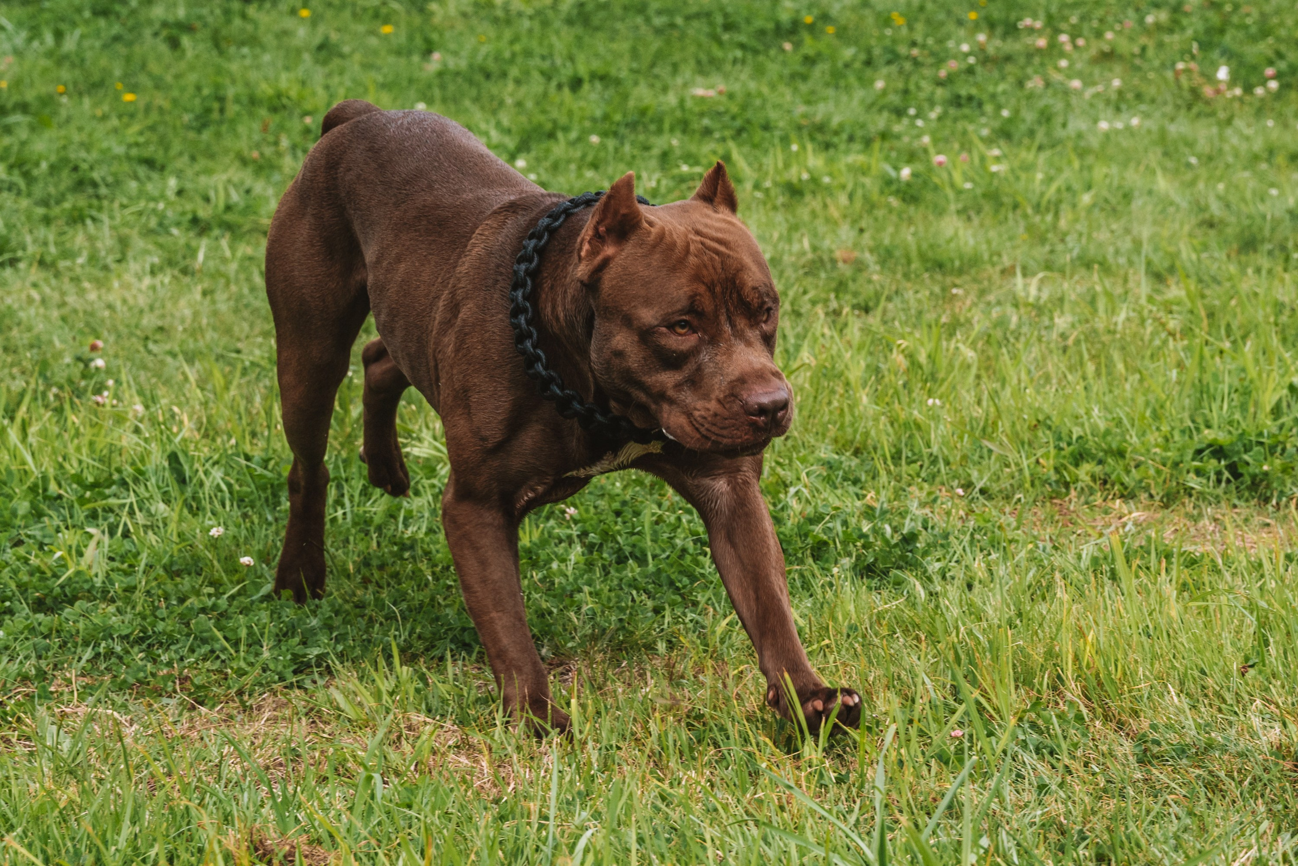 Лав стори фотограф Санкт-Петербург. Свадебный, семейный, портретный, репортажный фотограф в Санкт-Петербурге