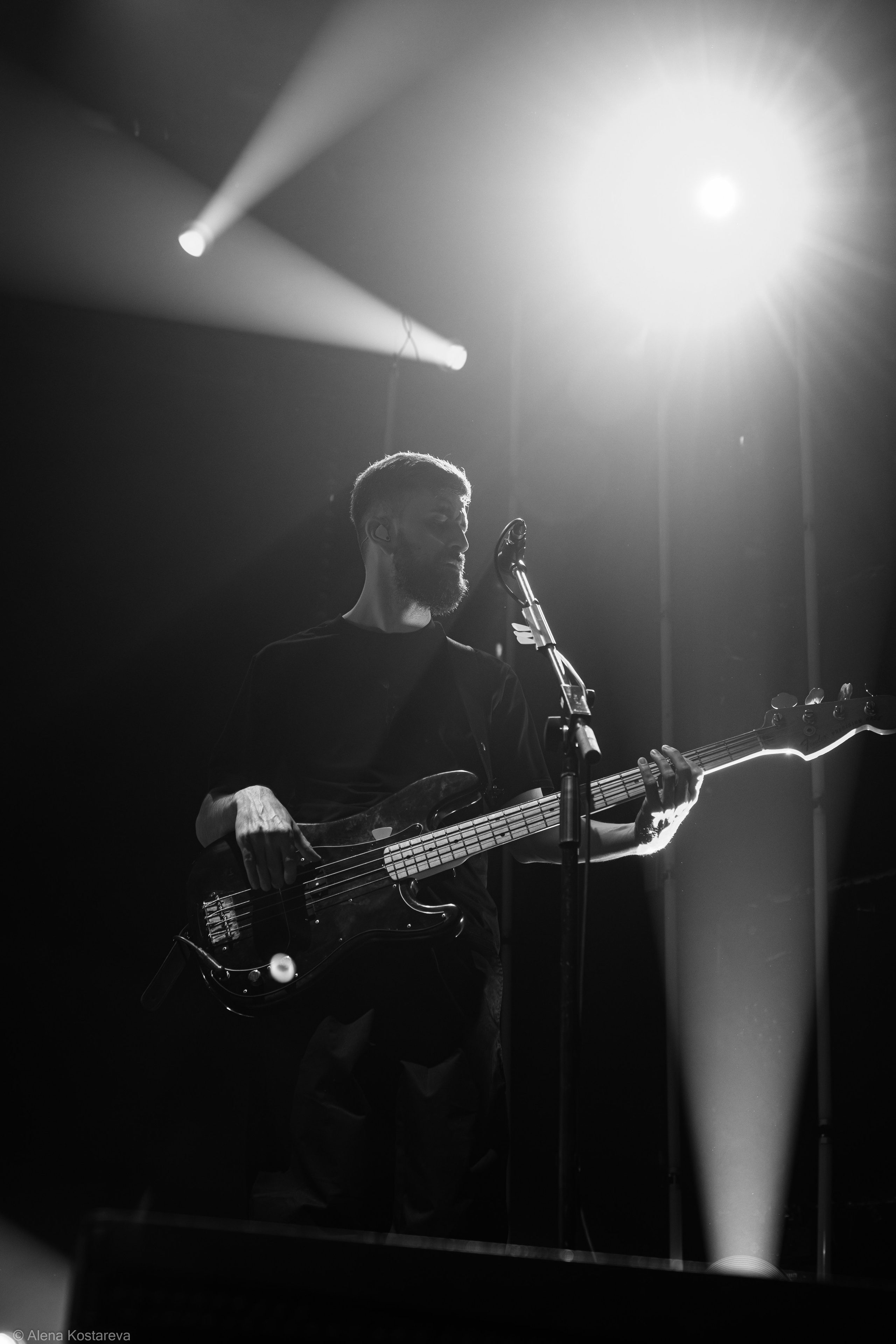 Звери. Алена Костарева. Фотограф в Ростове-на-Дону