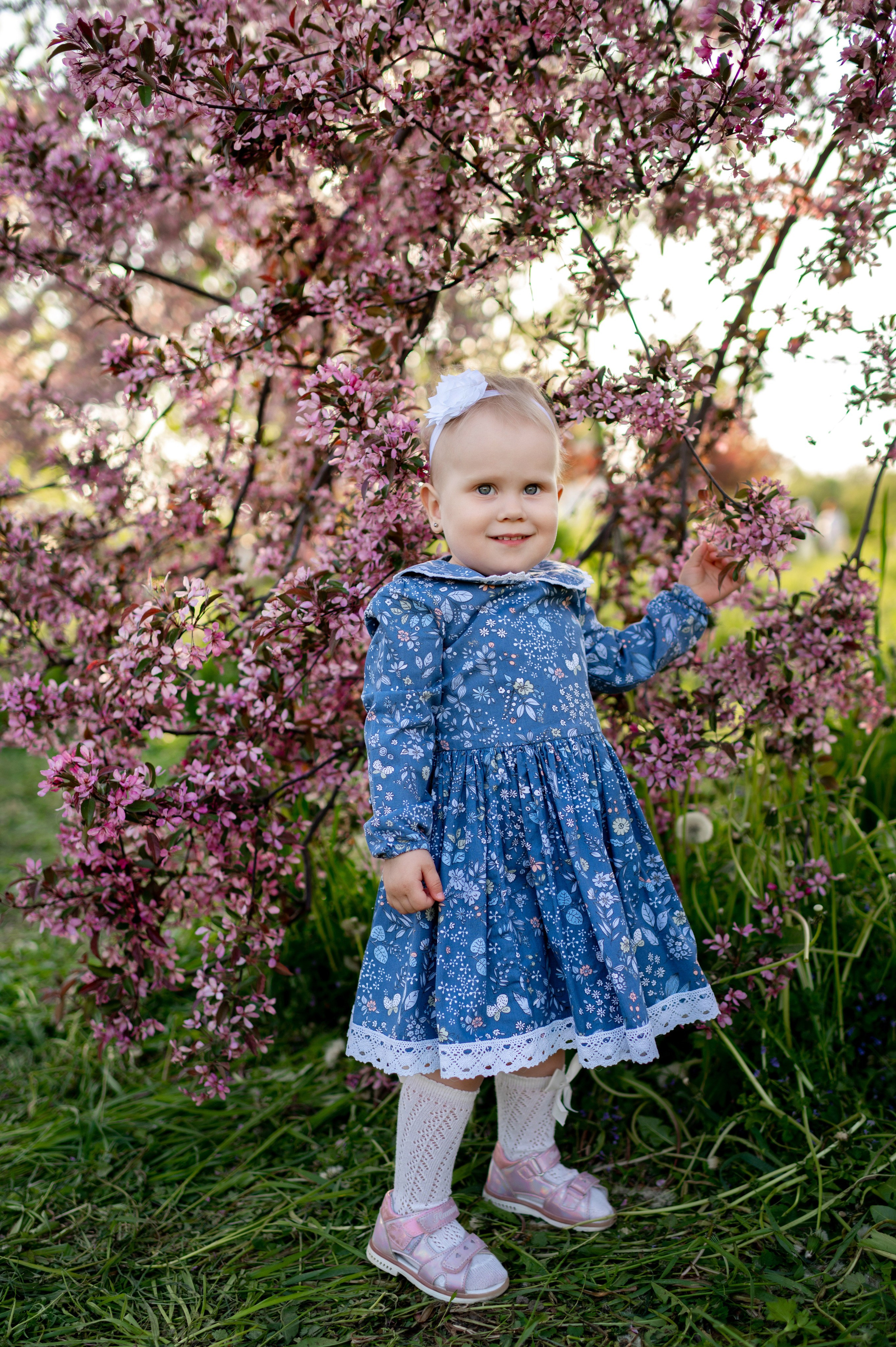 Ника и родители в розовых яблонях. Портретный, семейный и свадебный фотограф в Санкт-Петербурге и в Пушкине Ширяев Денис