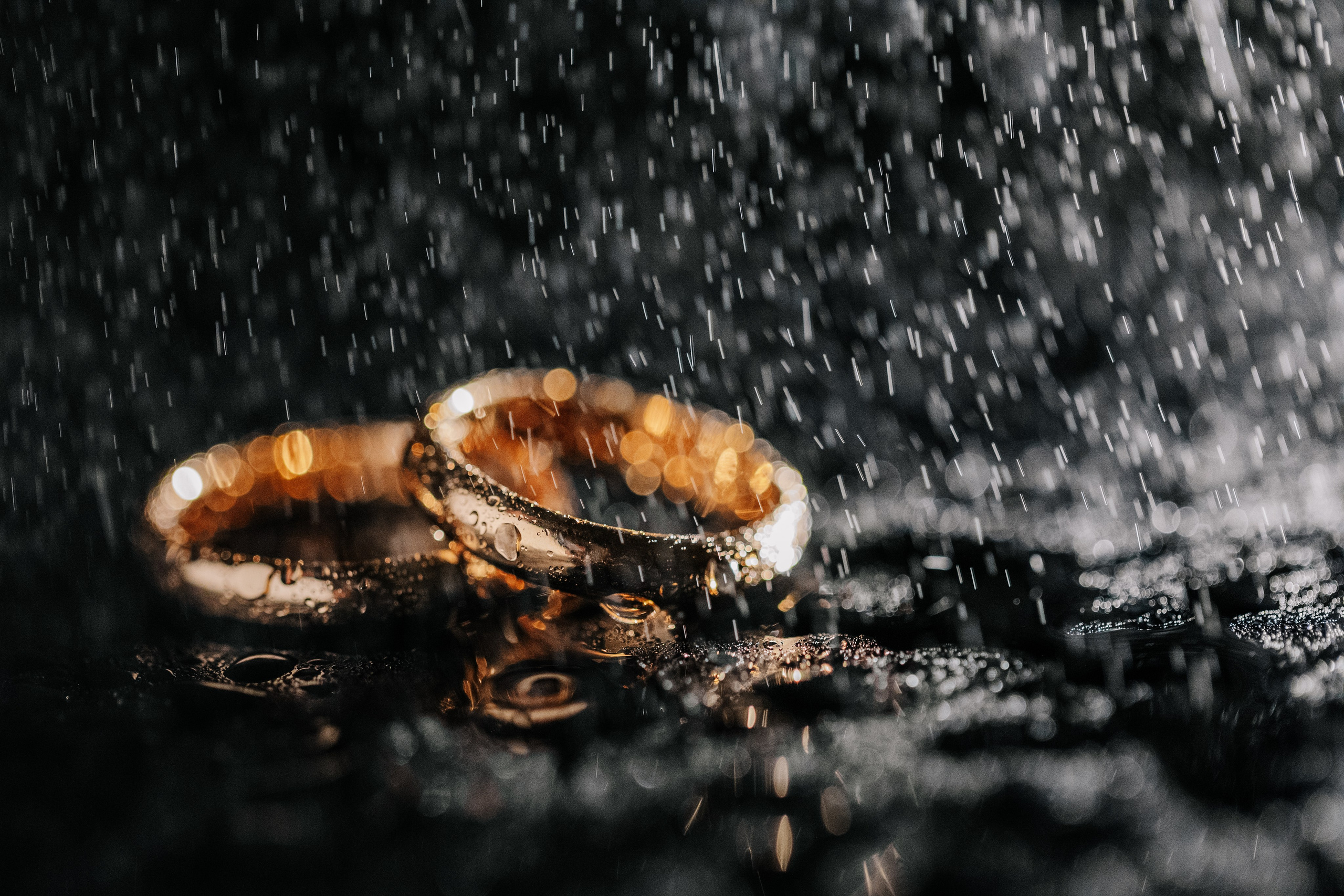 Сергей Фусс фотограф в Тамбове