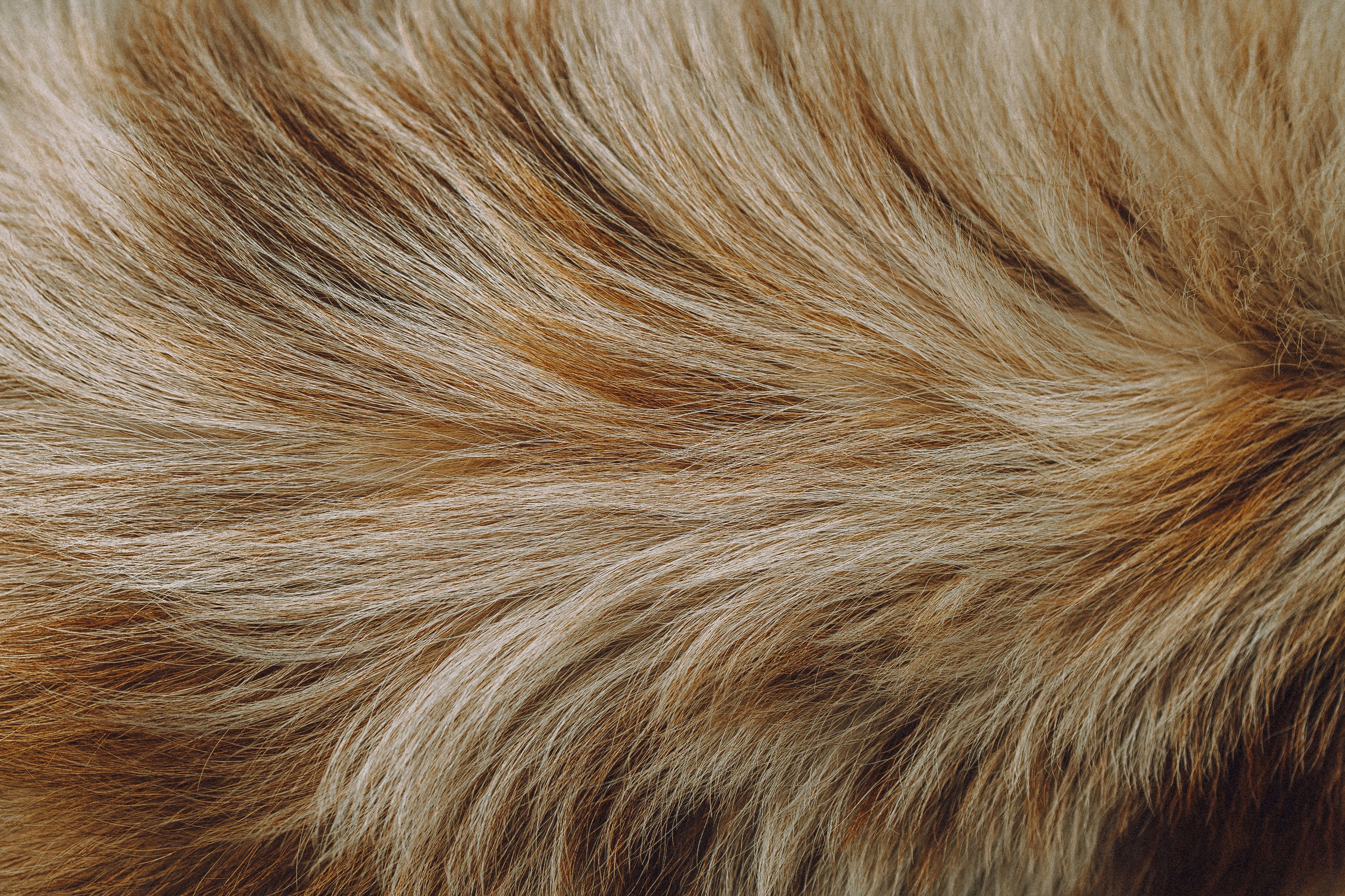 Один и его семья