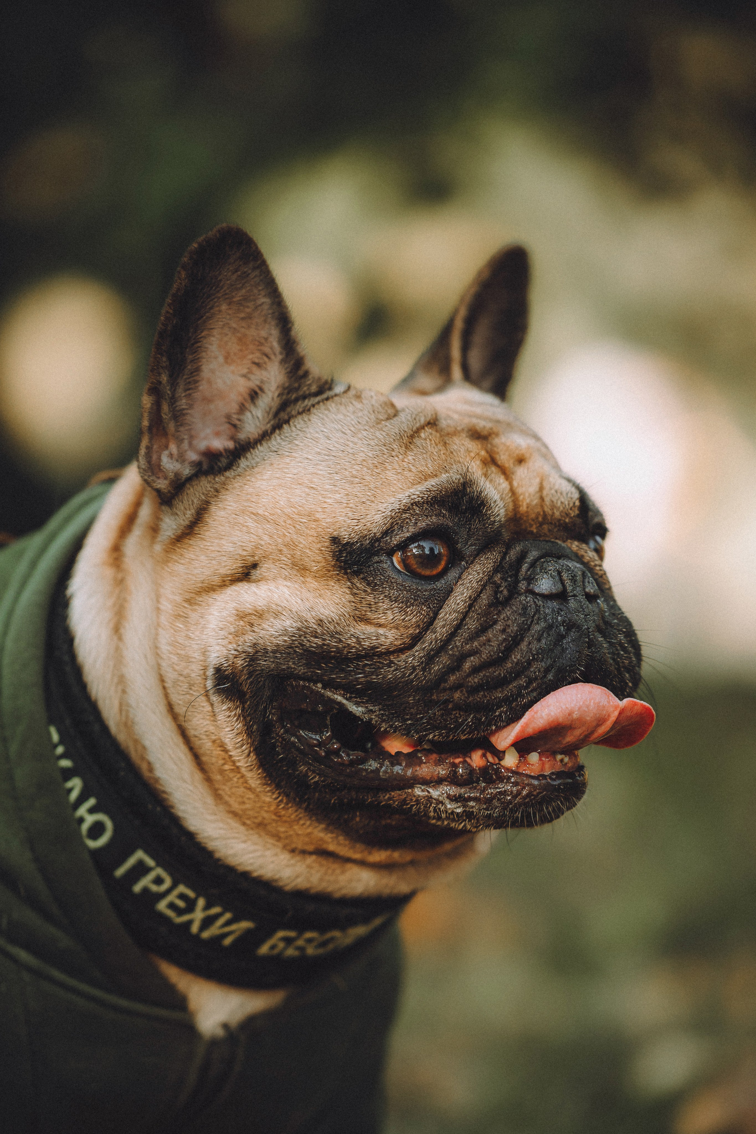 Настя, Женя и Хонор