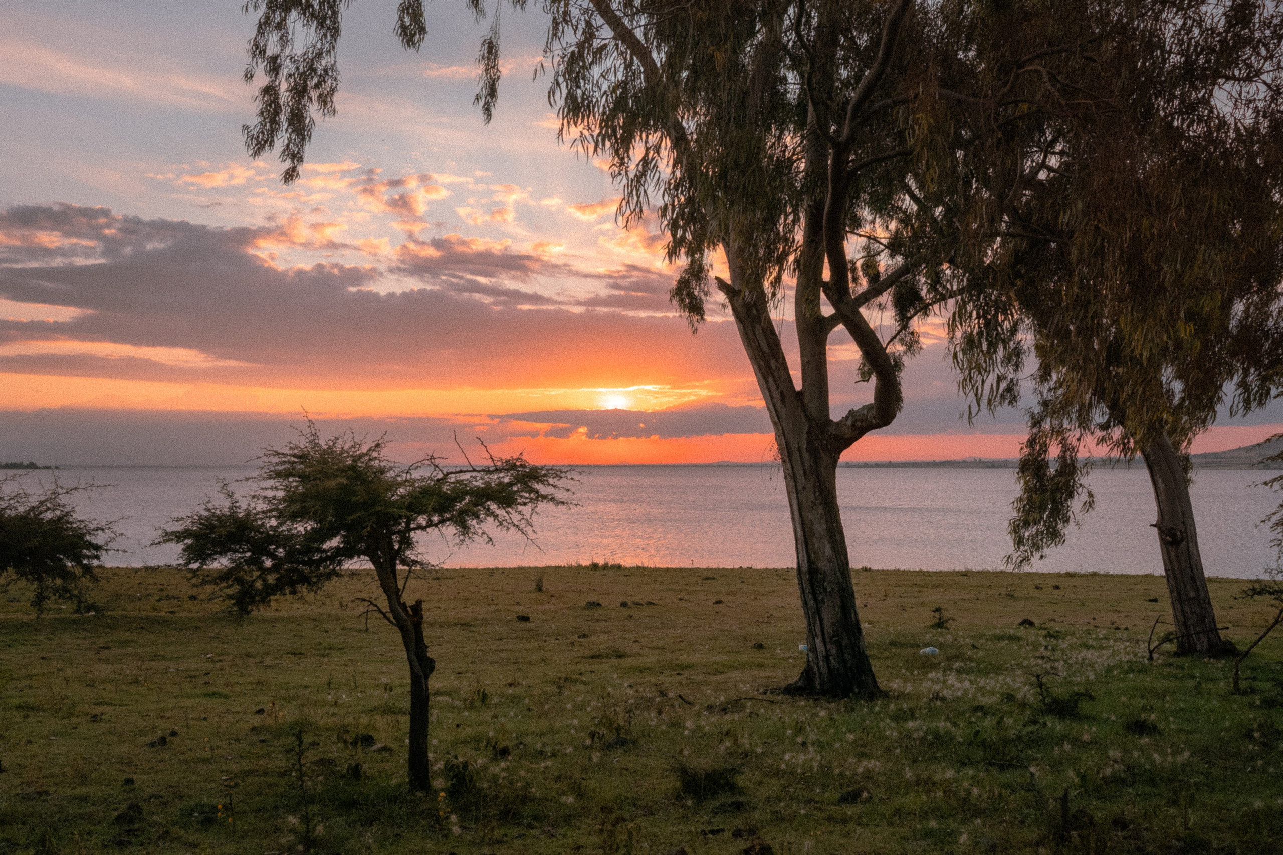 Плато жизни: Эфиопское нагорье. Юля Дэй • Фотограф, Санкт-Петербург