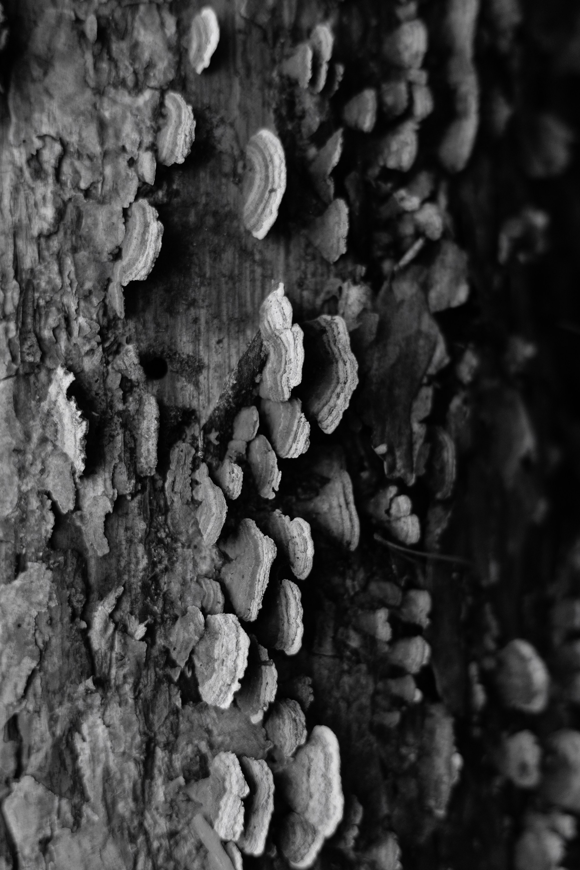 Юлия Леонова — фотограф, визуальный художник Минск