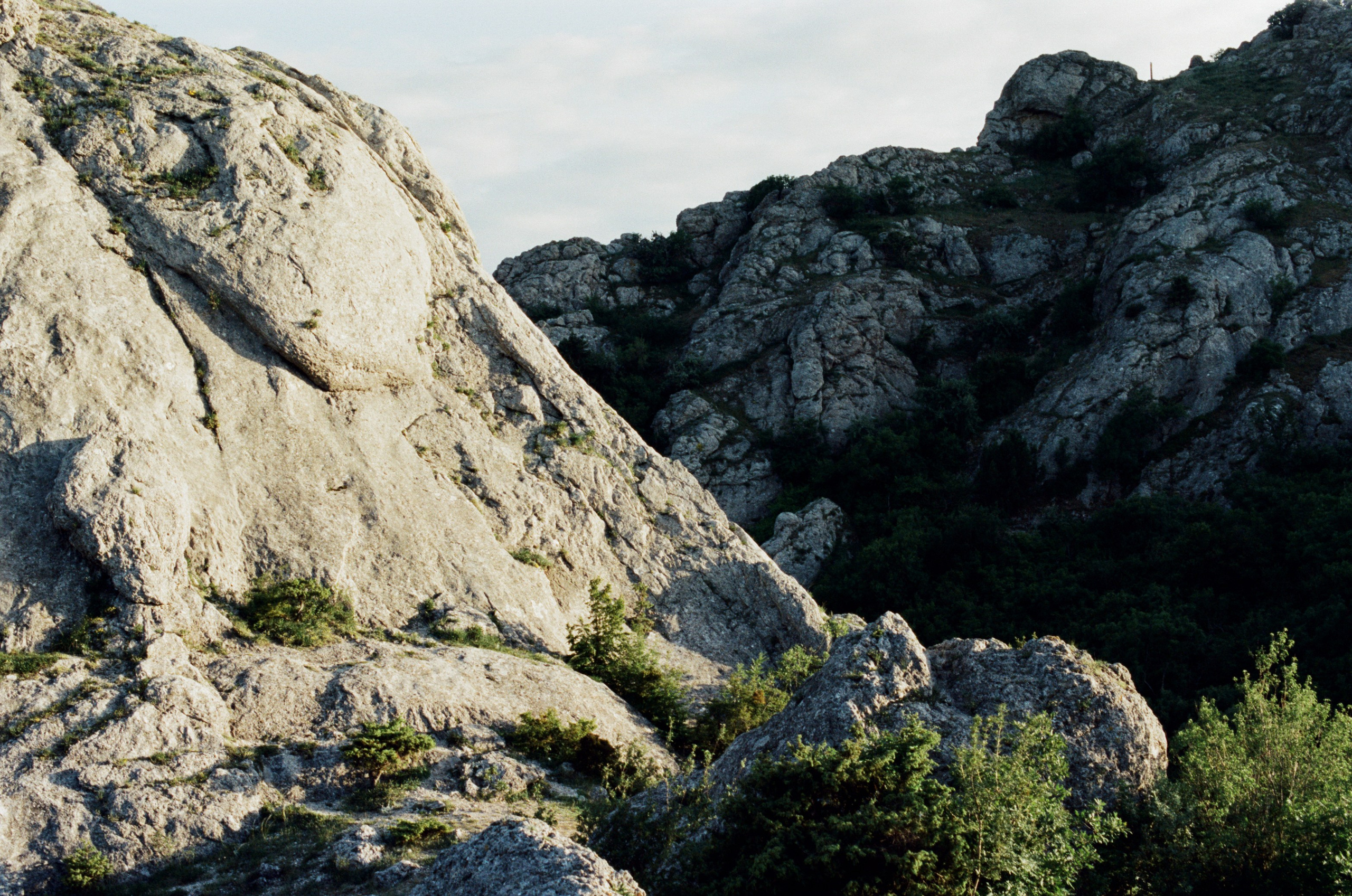 Silver strings // ukraine, crimea VI. EVER EXPOSED