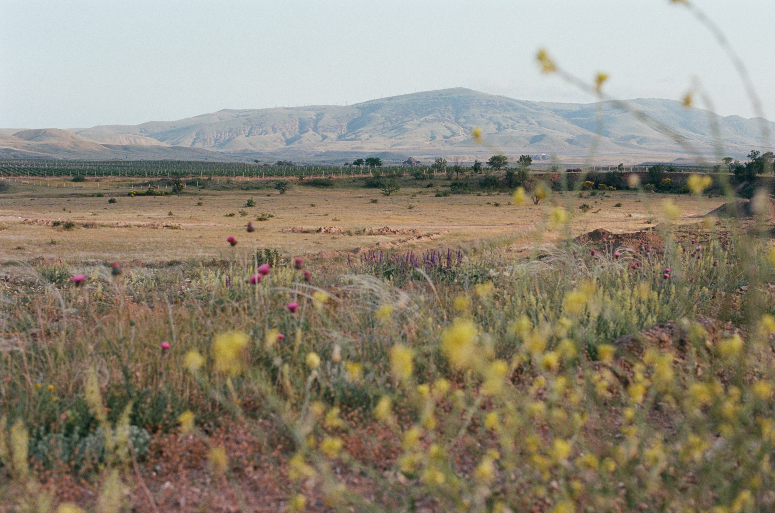 This time // ukraine, crimea IV. EVER EXPOSED