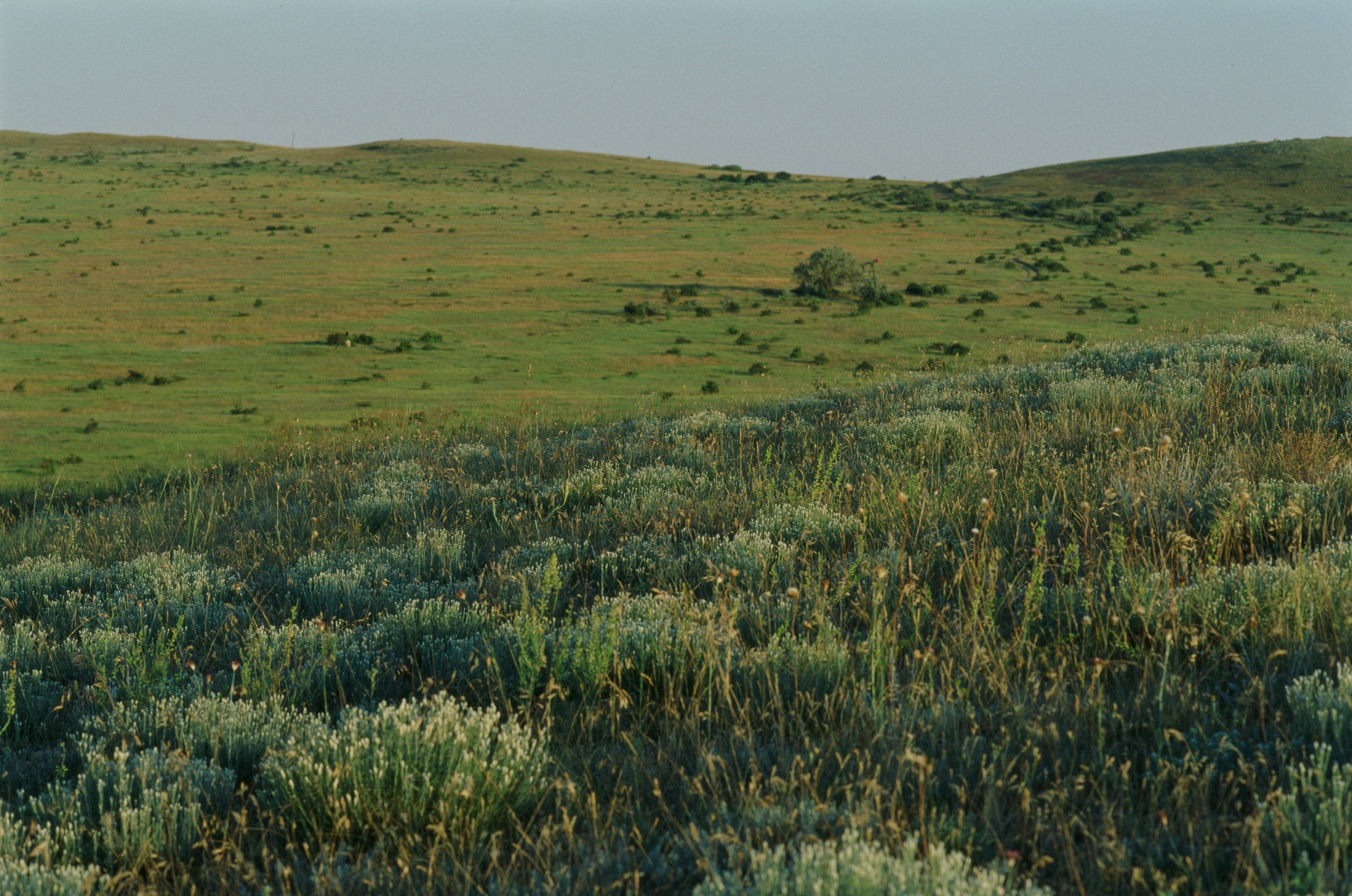 Dig it // ukraine, crimea VII. EVER EXPOSED