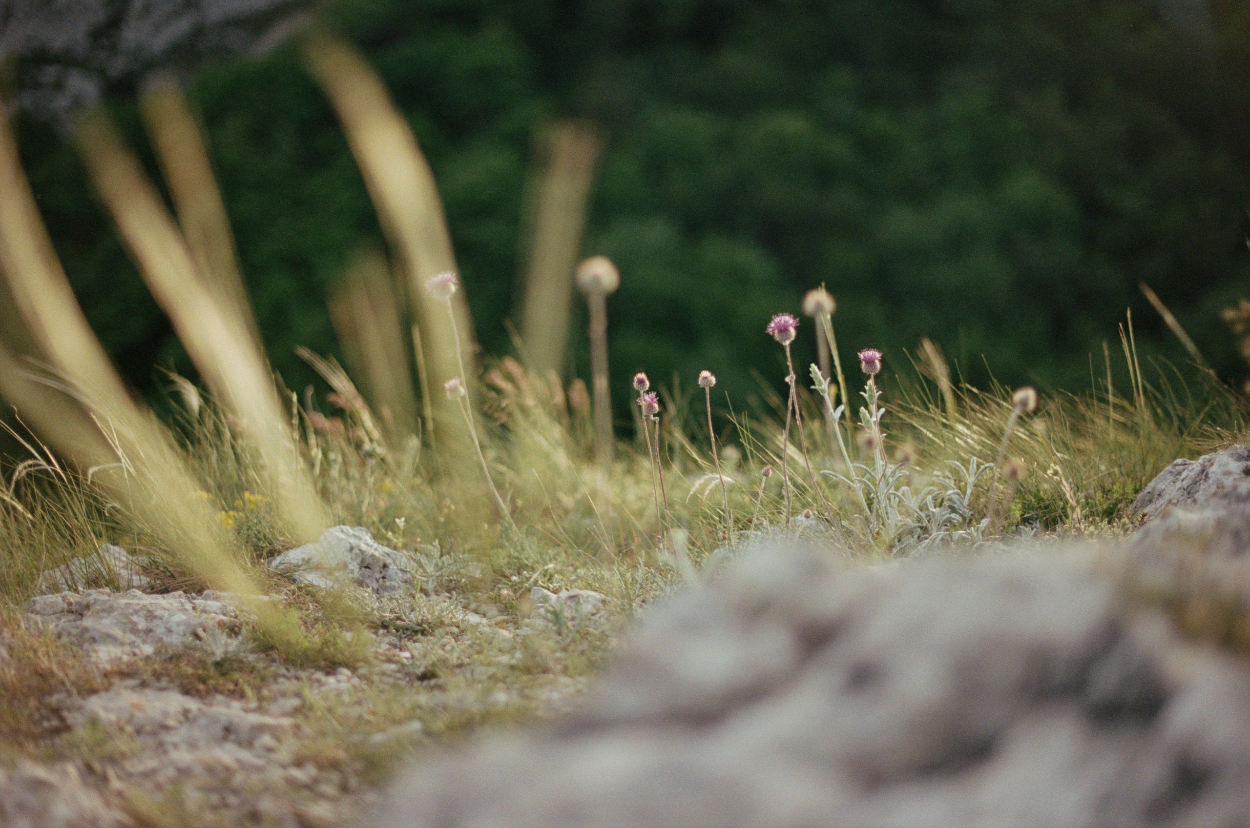 Silent running // ukraine, crimea. EVER EXPOSED