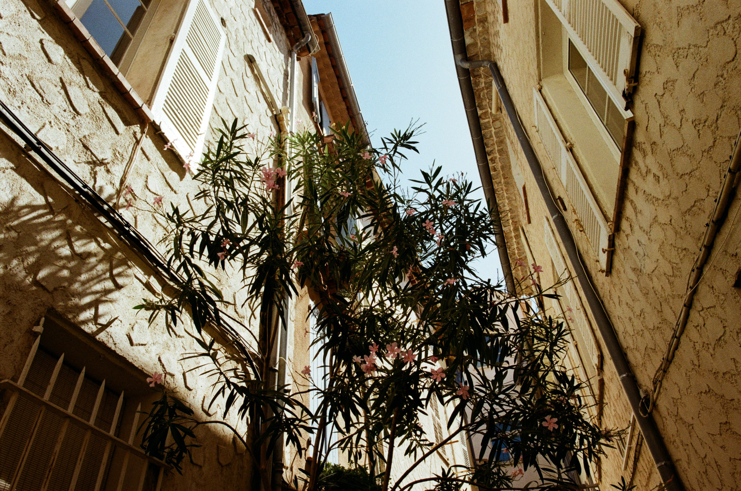 The contract // france, antibes. EVER EXPOSED