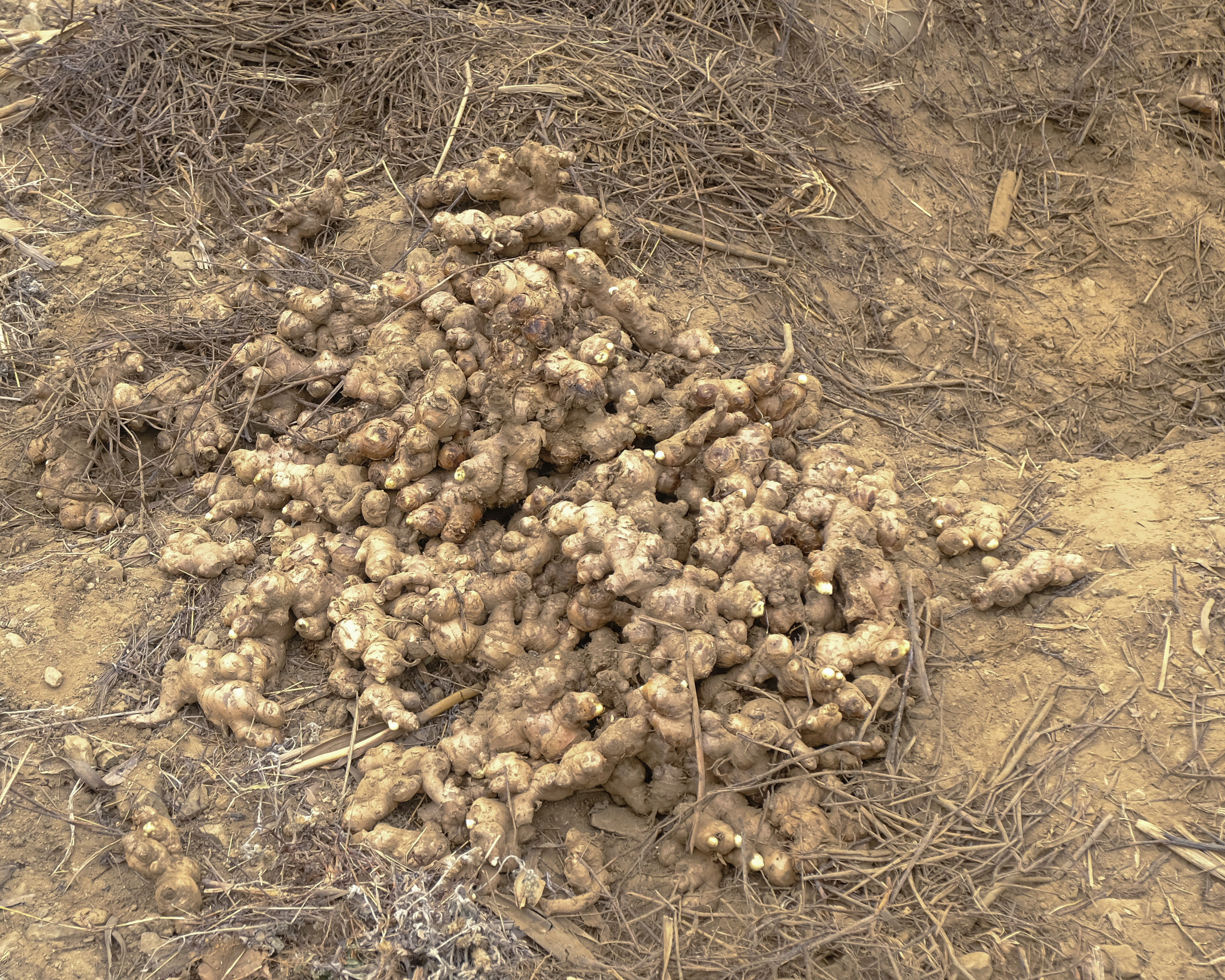 Индия 4-й день. Фотографии из путешествий