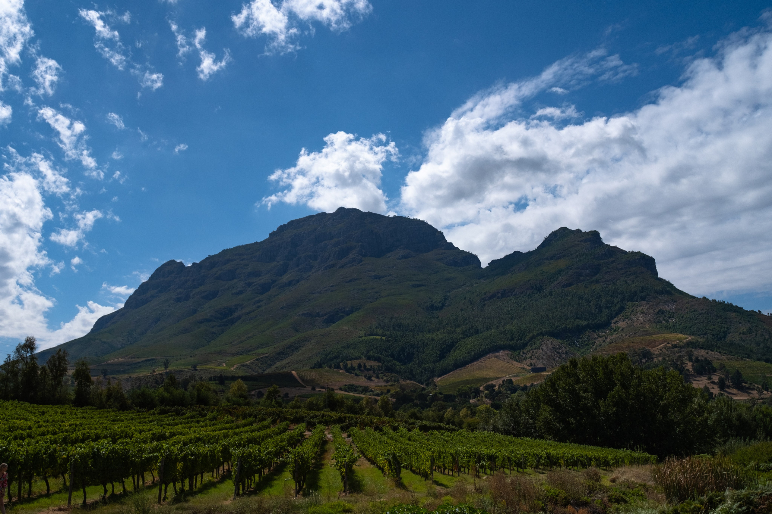 Тауншип и столовая гора. Фотографии из путешествий