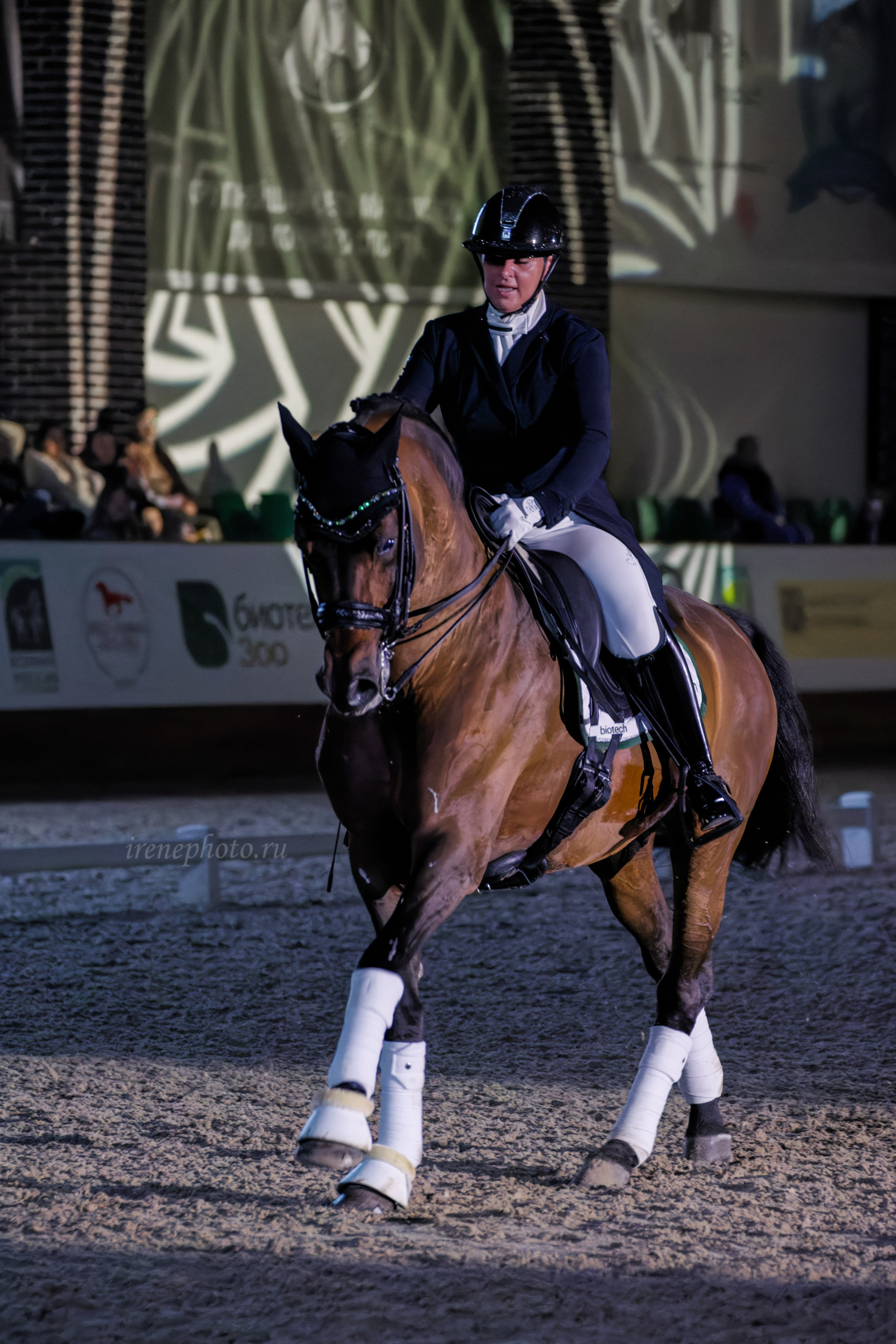 Конная Россия 2024. Irenephoto.ru