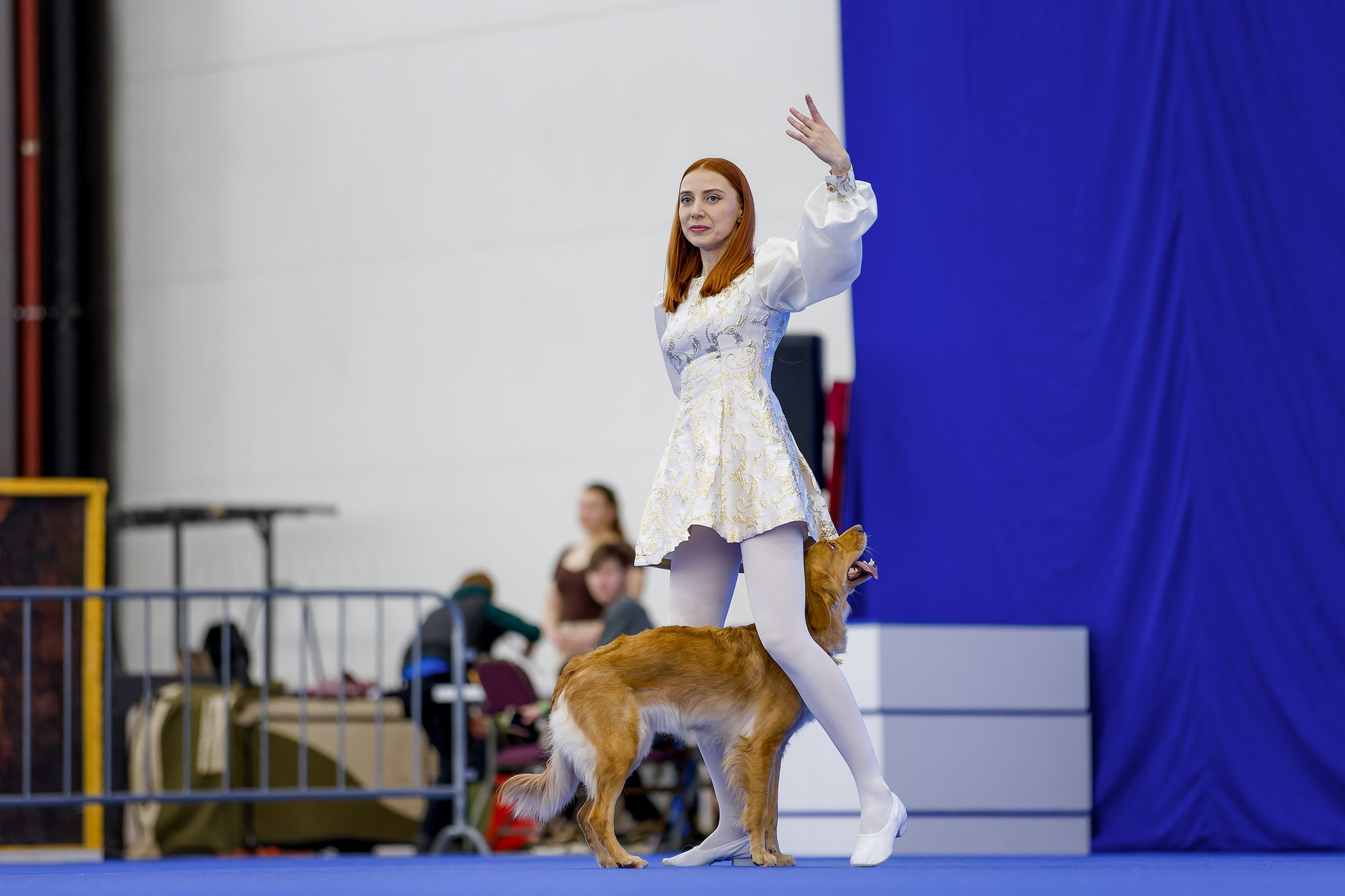 Танцы с собаками. Зоошоу 14.12.2025. Irenephoto.ru