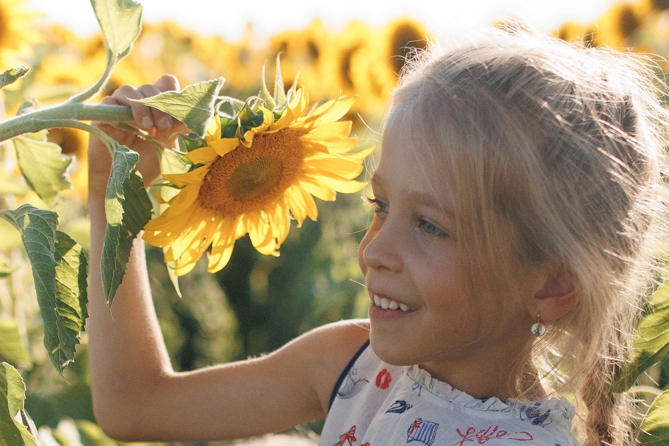 Дети и подсолнухи. Семейный фотограф lifestyle в Новосибирске Елена Шпилевая