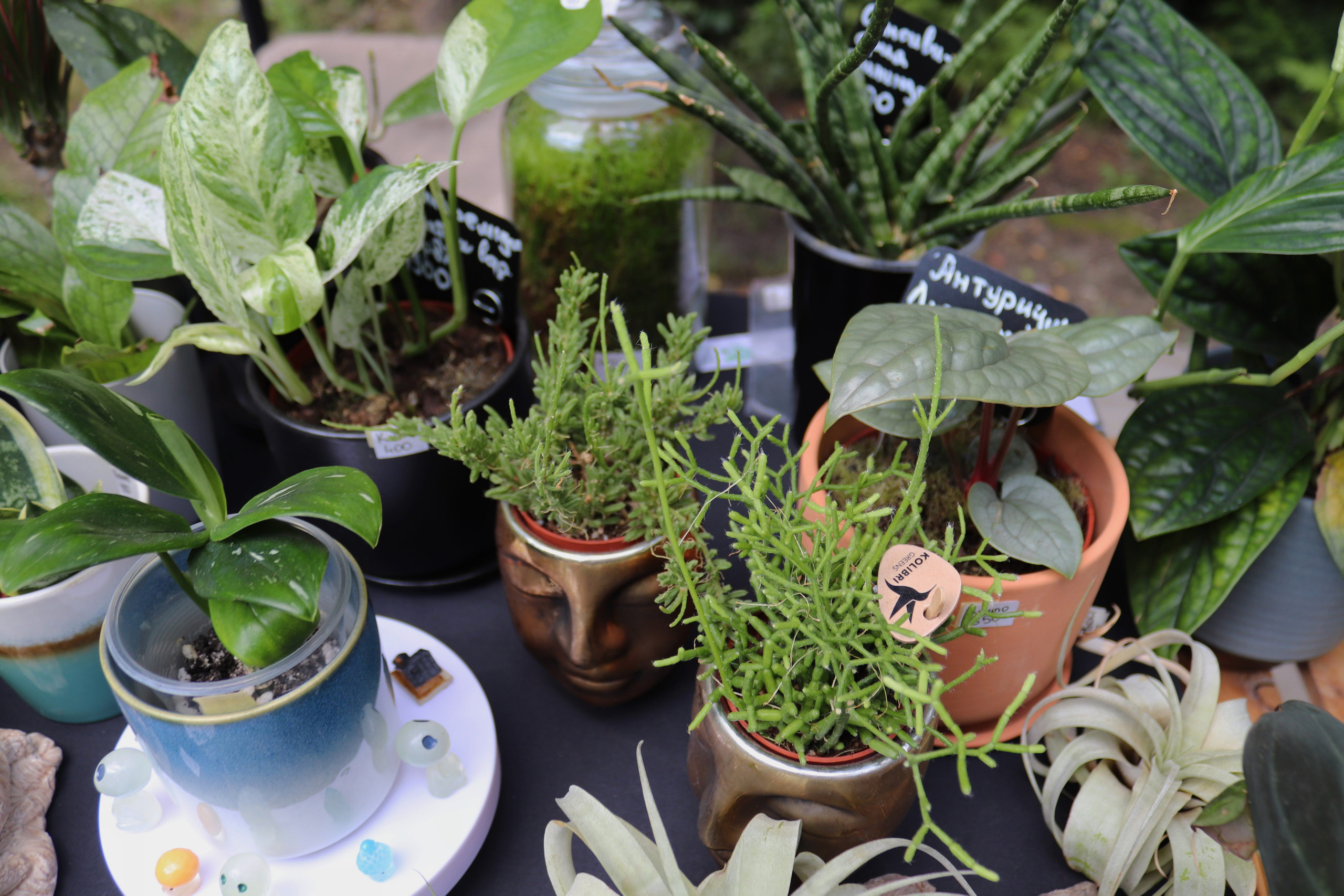 Репортажная съемка. Фотограф в г. Барнаул Нина Чепрасова