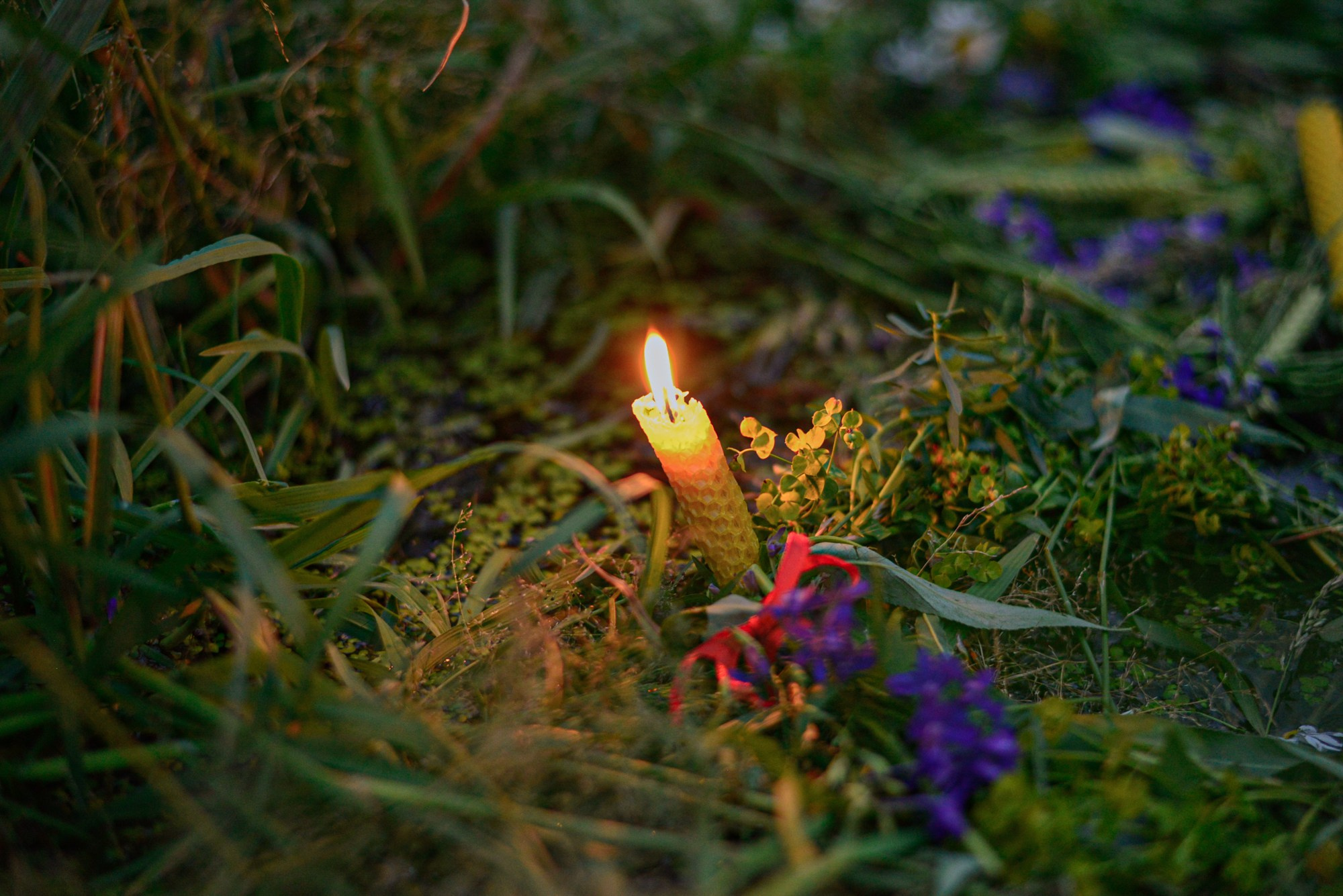 Иван Купала 2025 Усадьба Ведрова. Портретный фотограф Марина Тамбовская