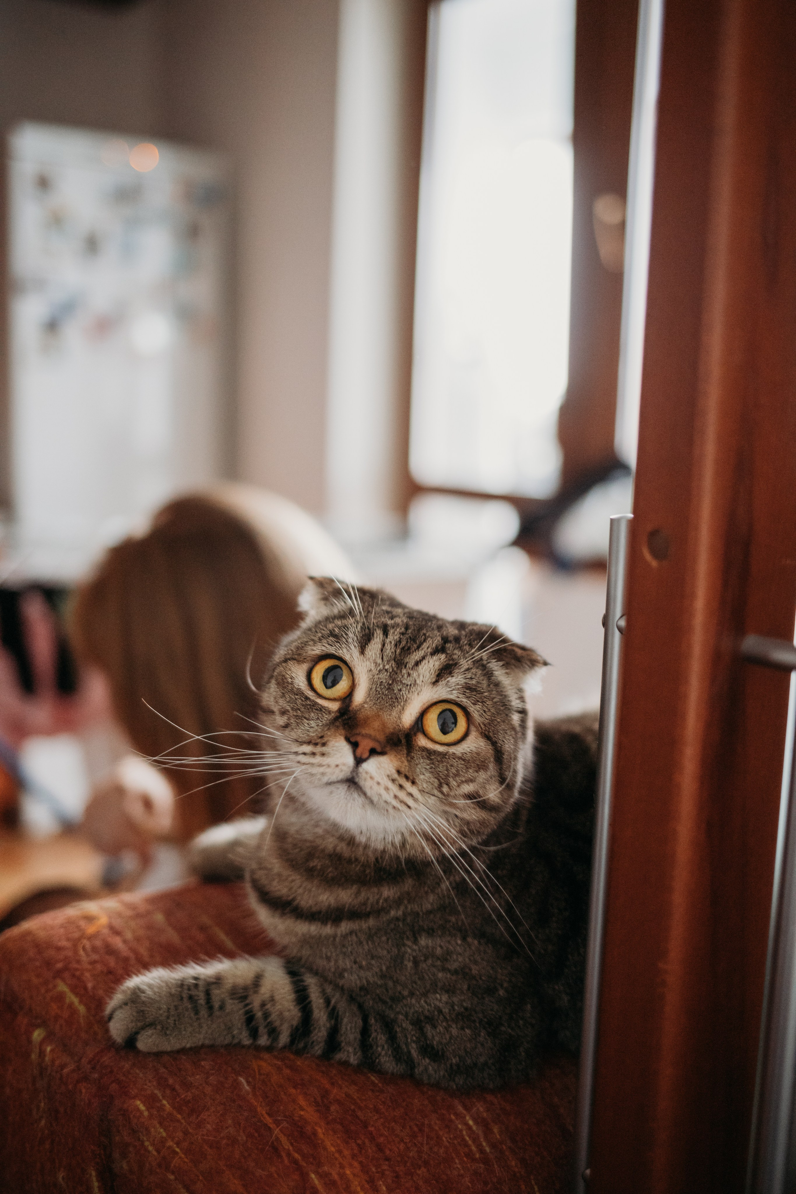 Дима, Катя и Андрей. Семейный и детский фотограф в Москве Александра Нараевская