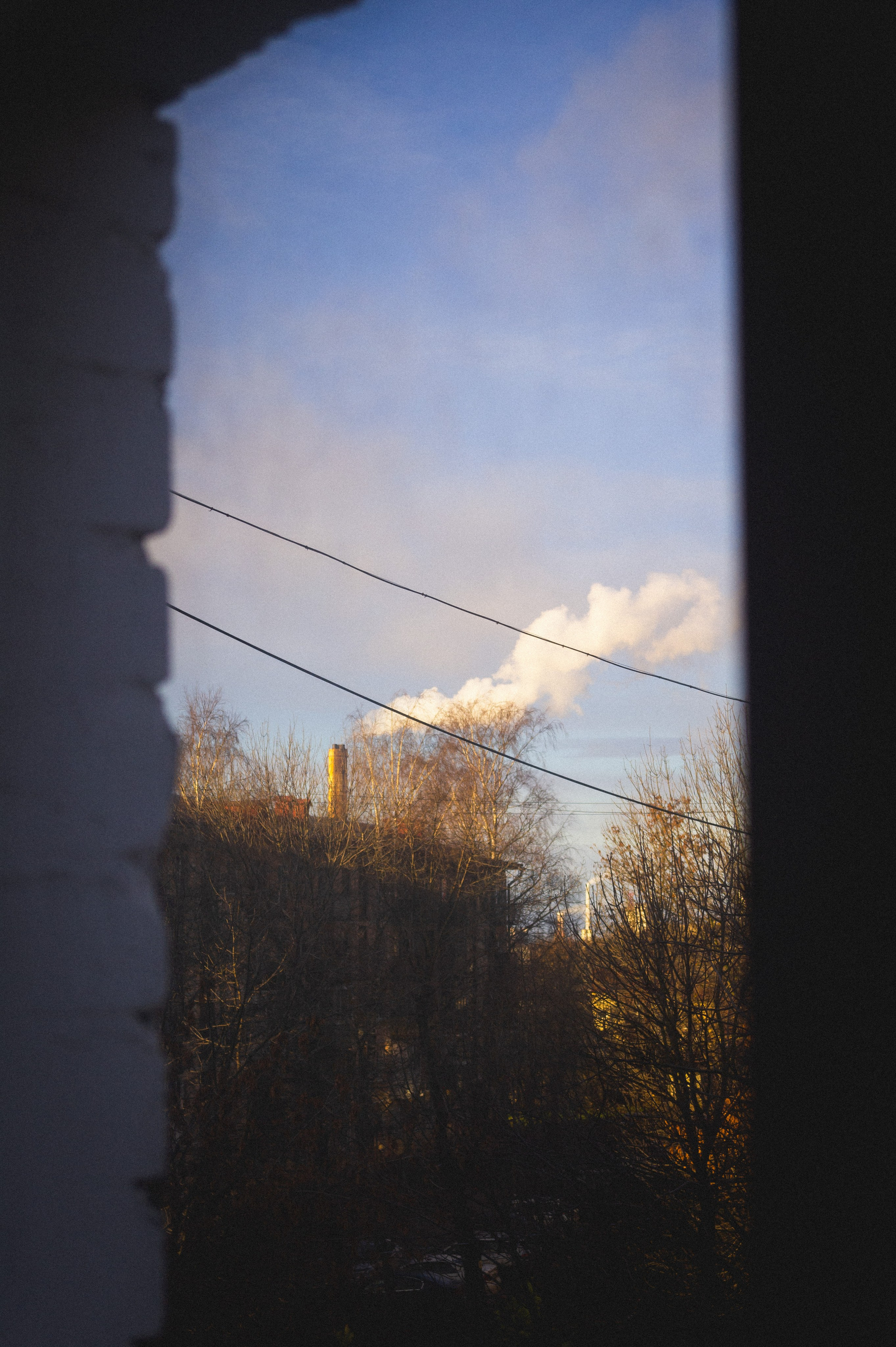 Ноябрь 2025. Den Mirov — Фотограф, Музыкант