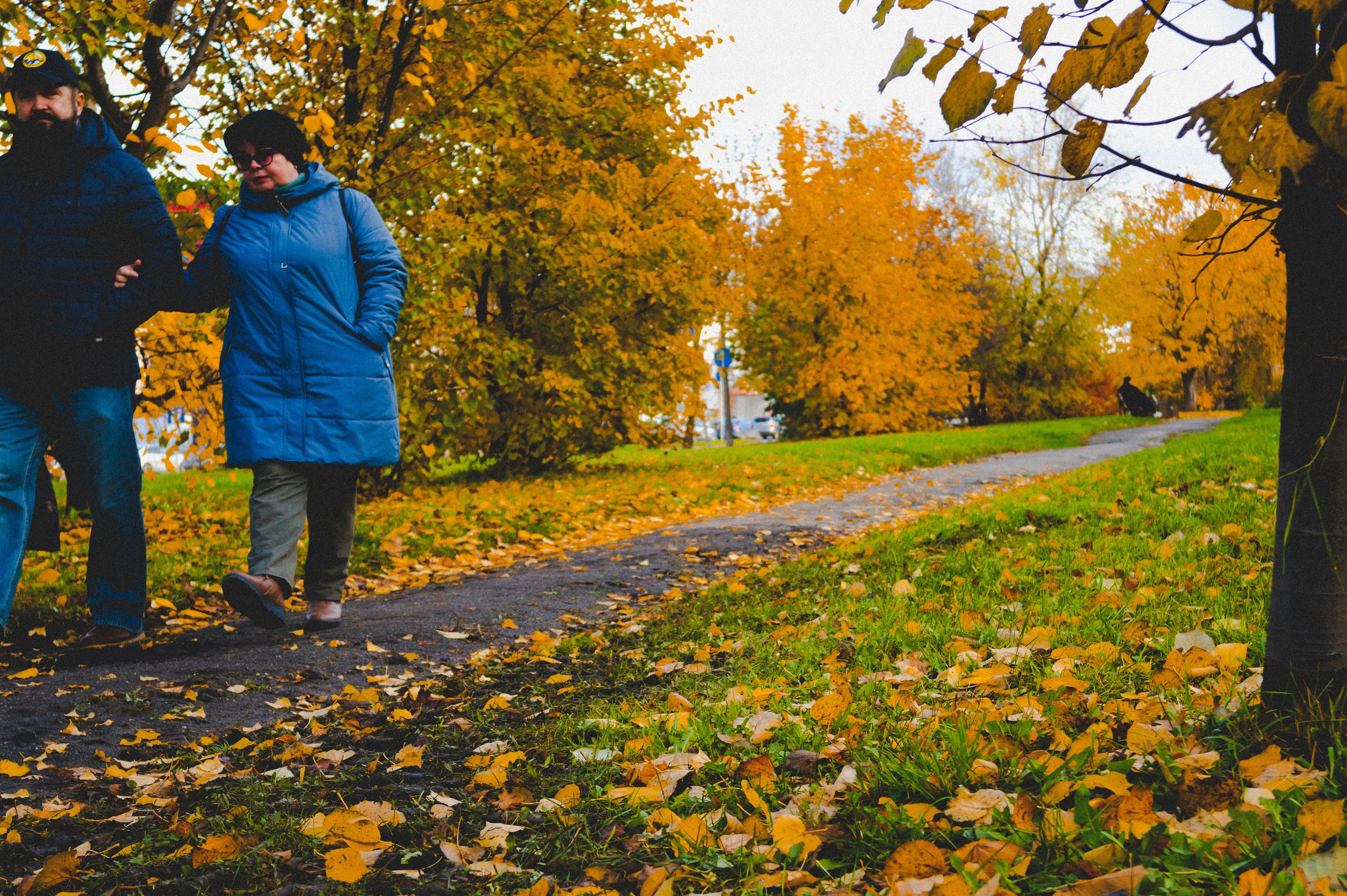 Октябрь 2025. Den Mirov — Фотограф, Музыкант