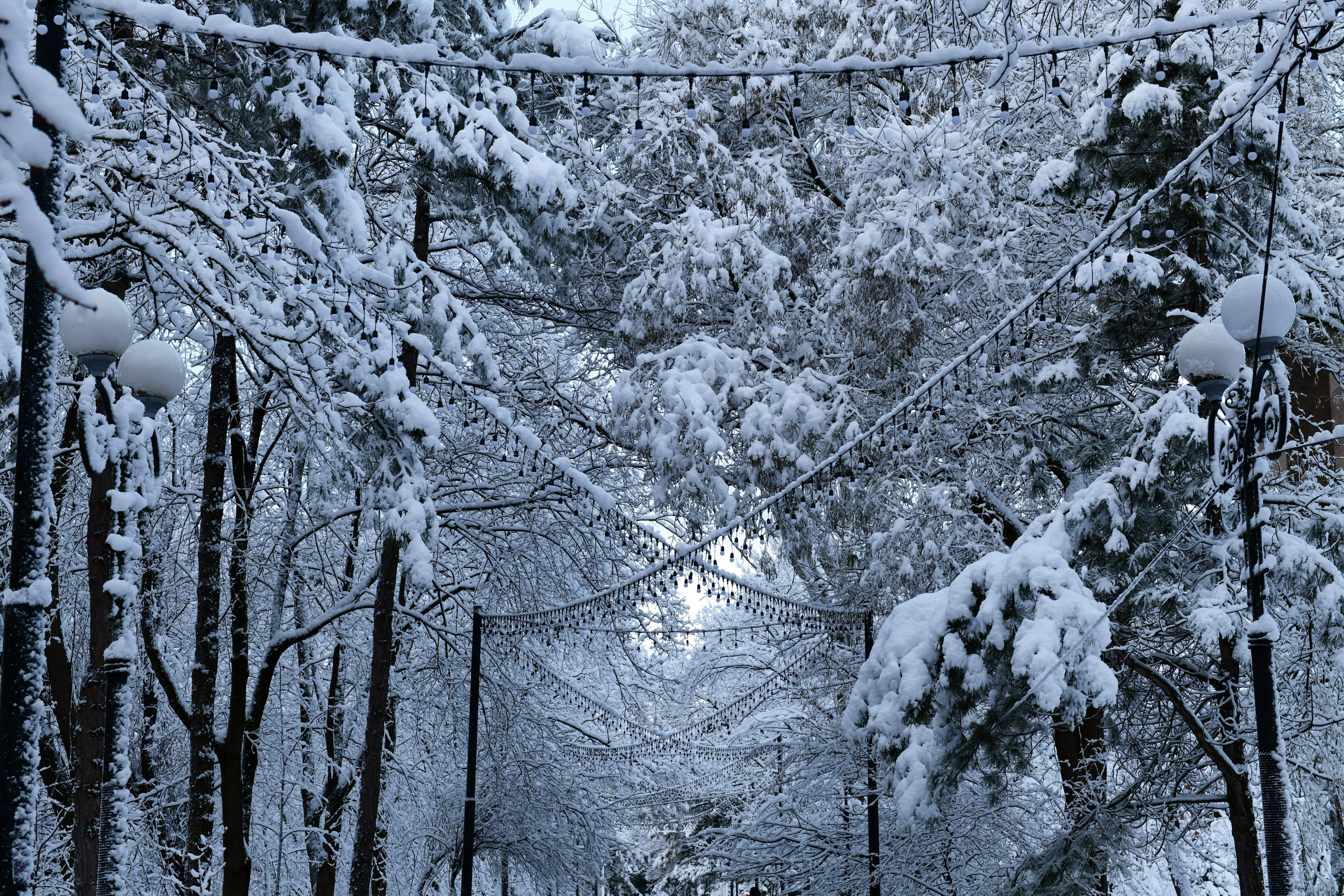 РОСТОВ. Фотограф Глеб Садов