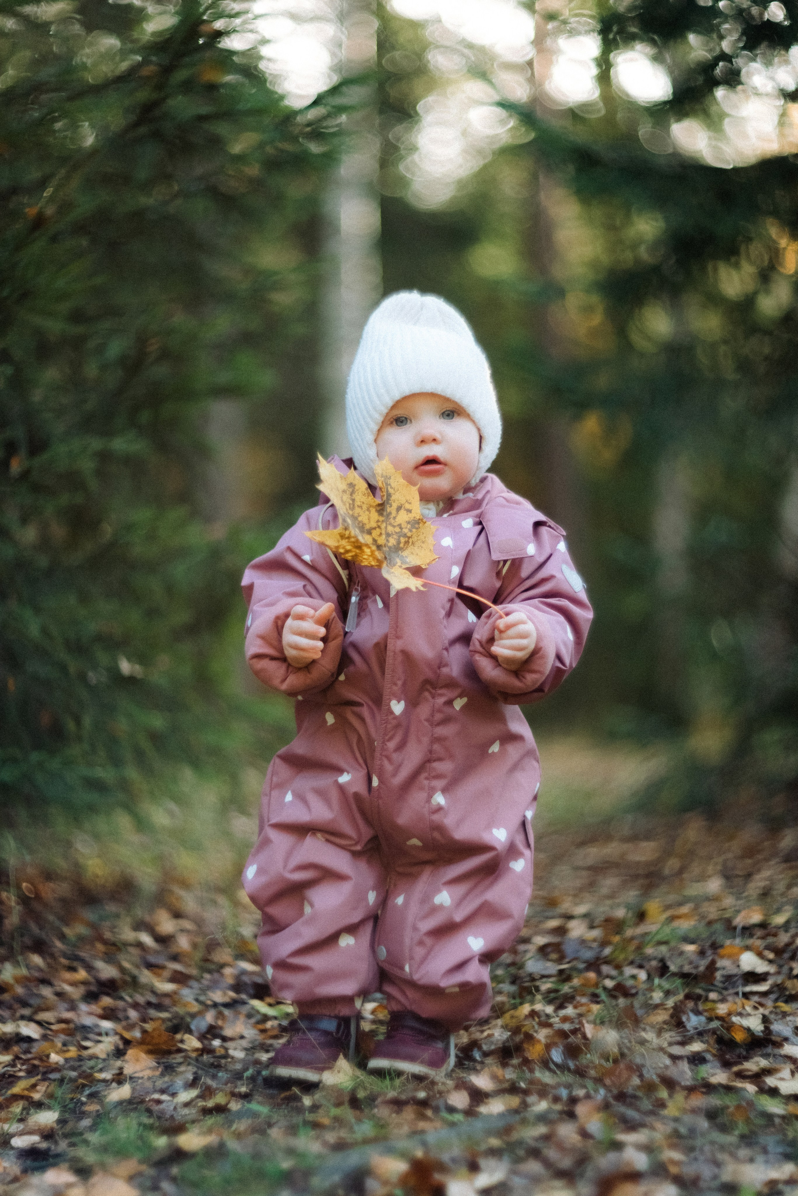 Alena | Mira | Kostya. Свадебный фотограф Санкт-Петербург DanyaPhotoart