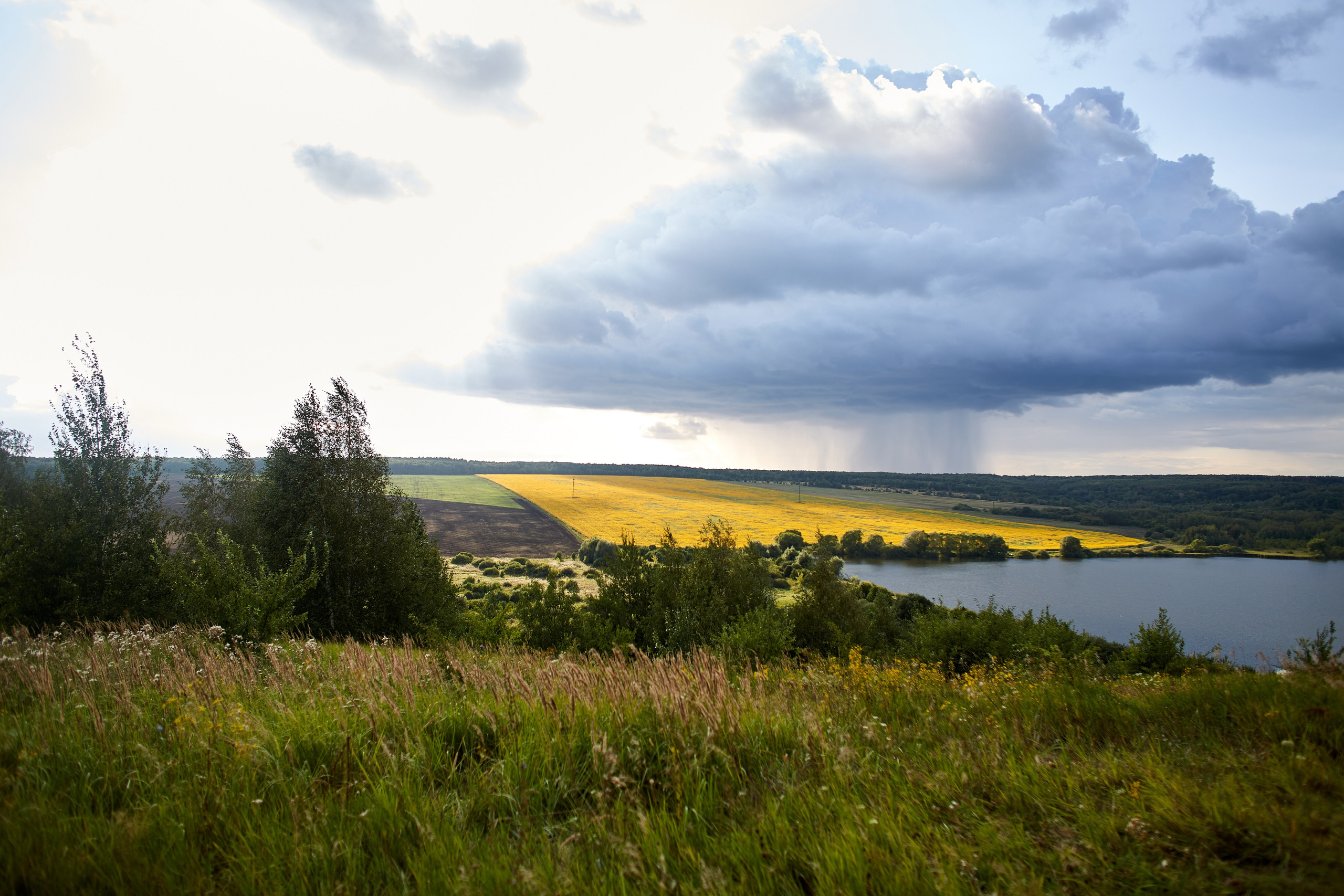 Егор, Маша, Боня