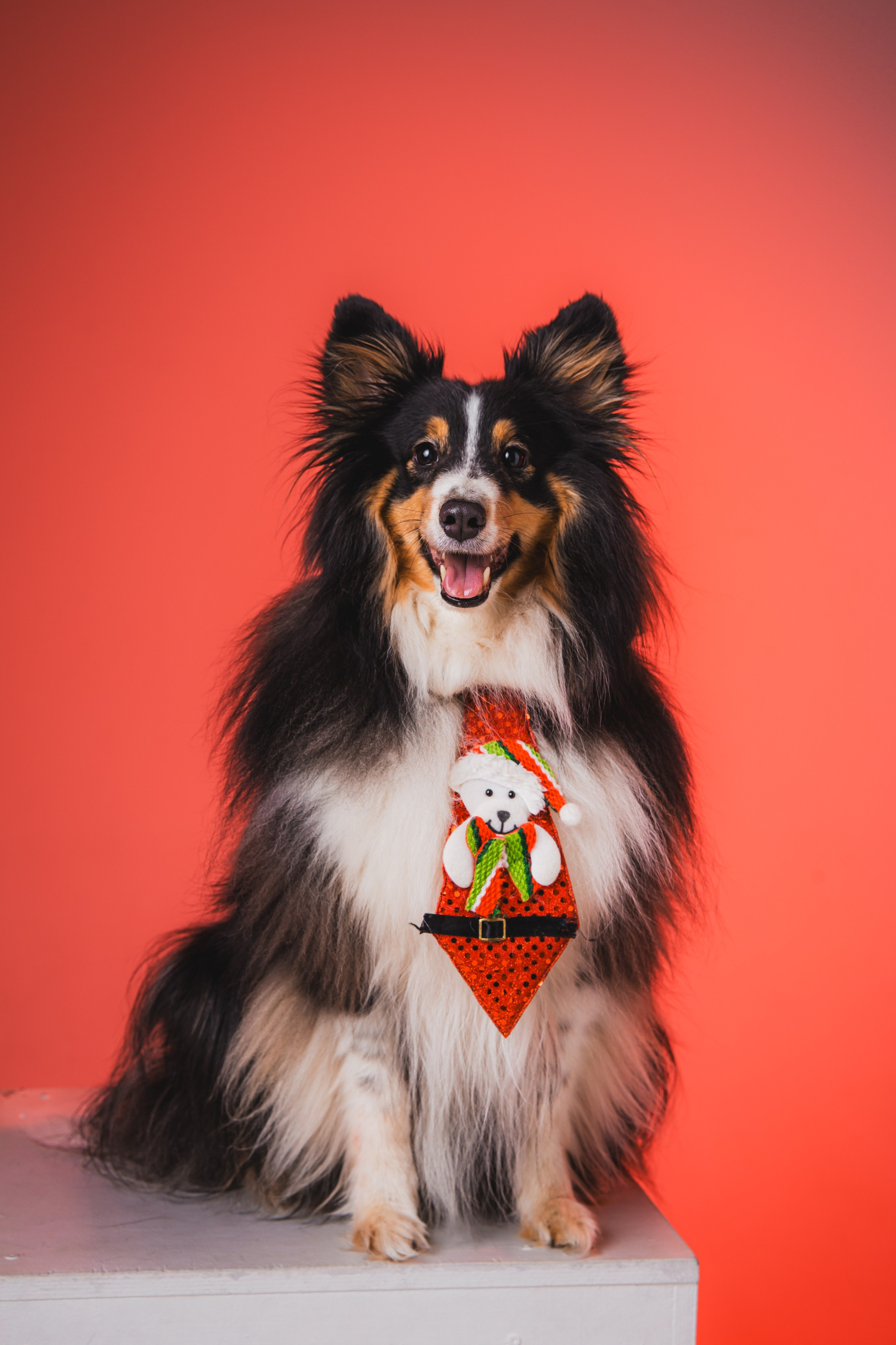 Воркшоп по импульсному свету