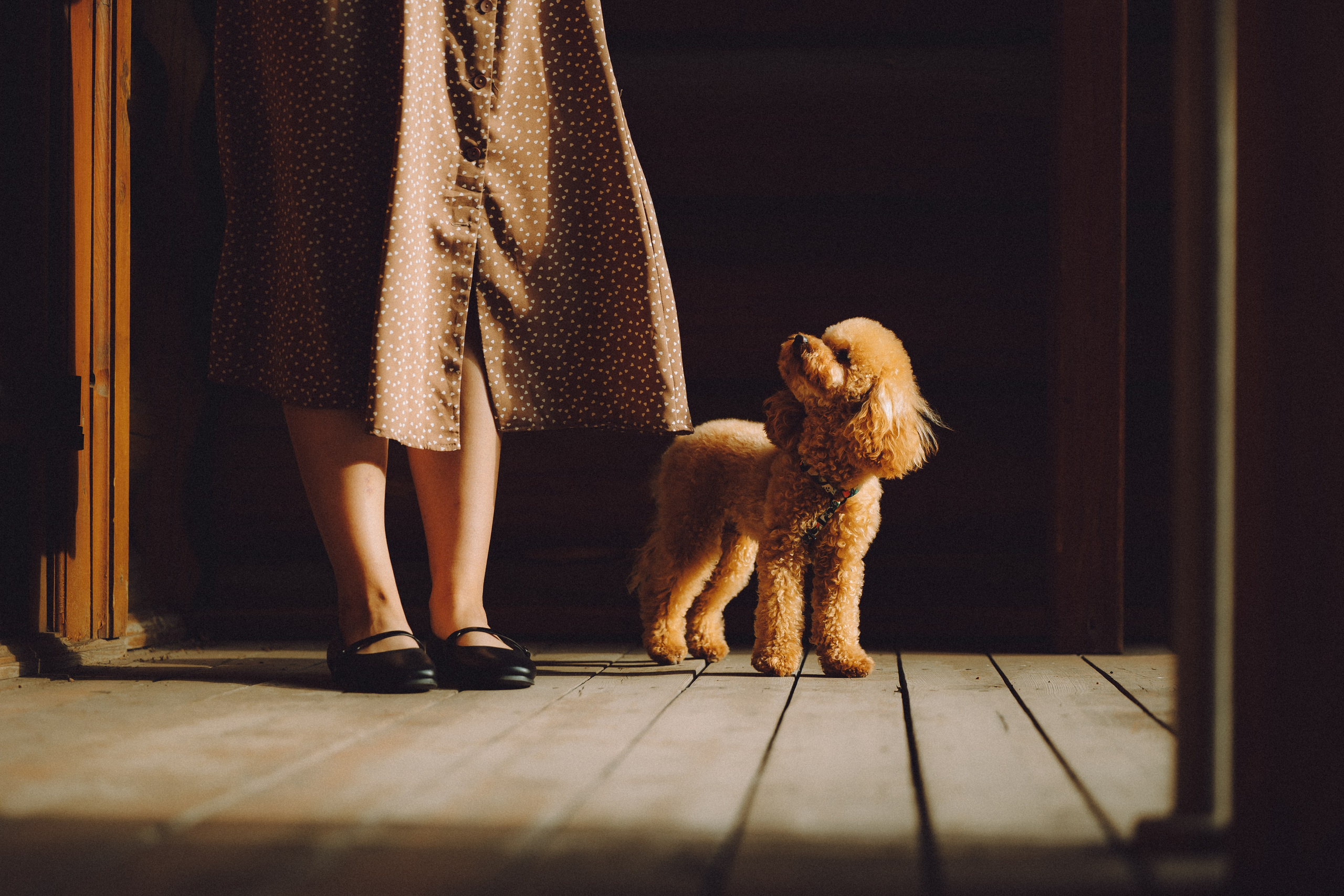 Даша и Джули