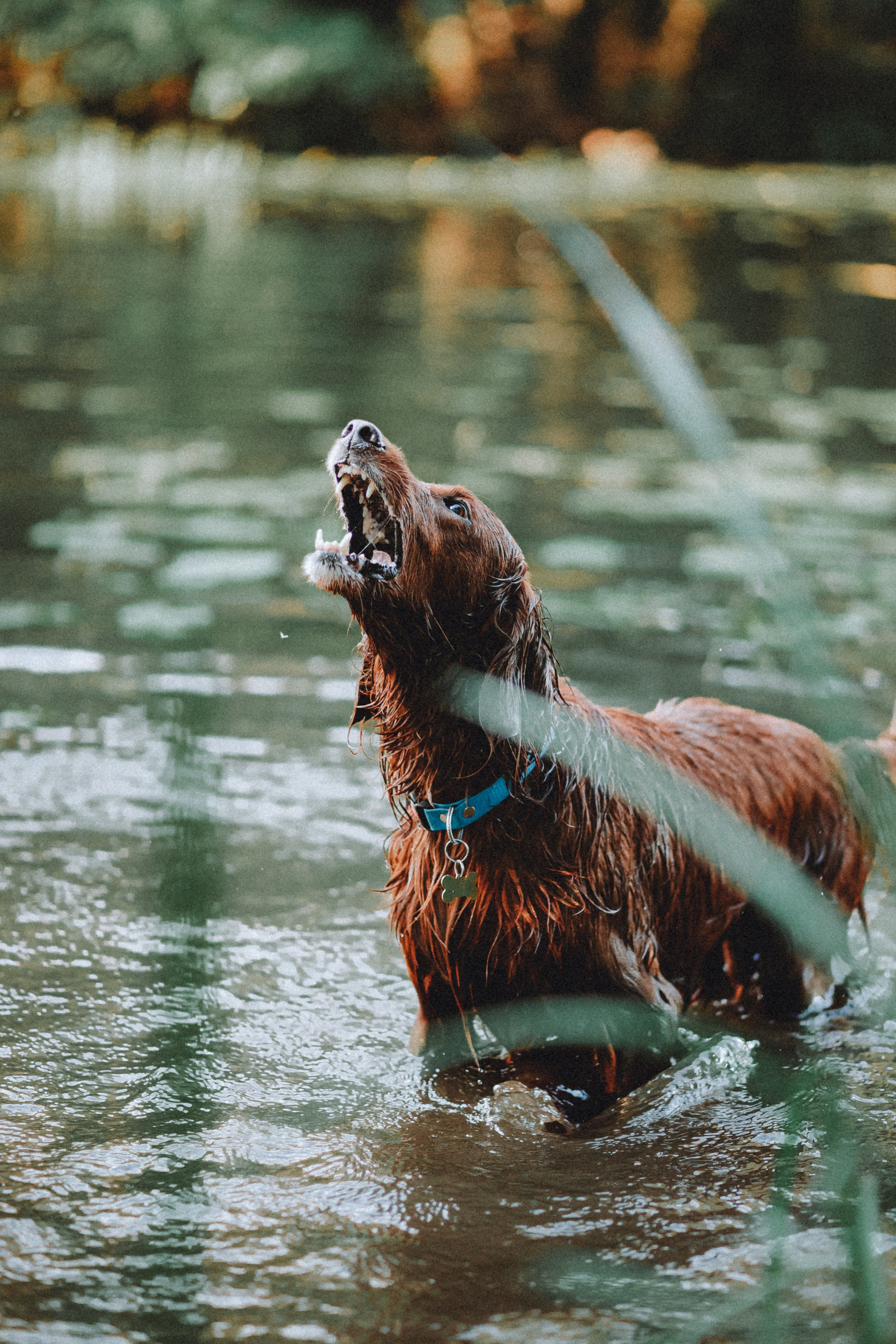 Маша и Джерри