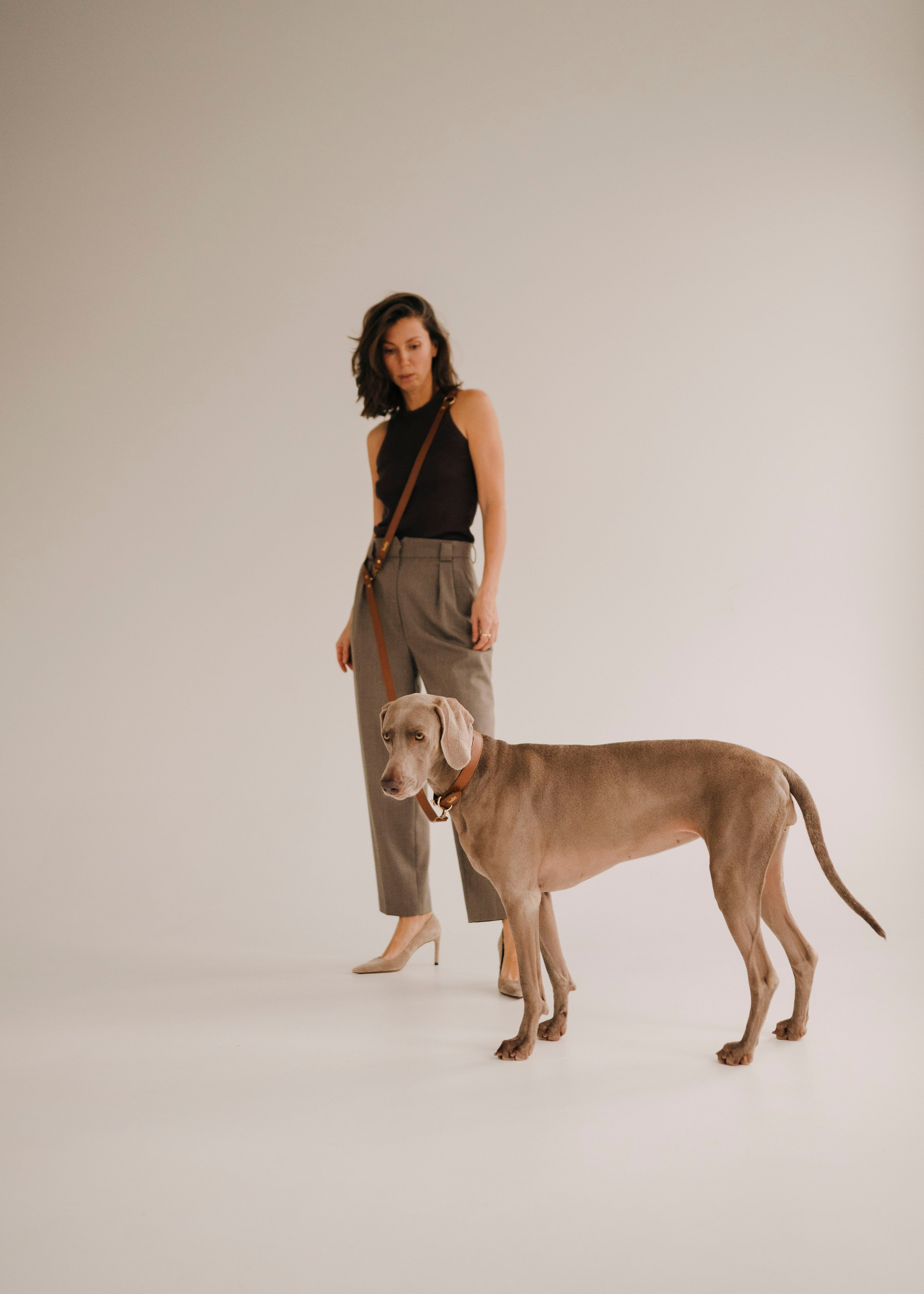 Фани. Фотограф- анималист Александра Матвеева